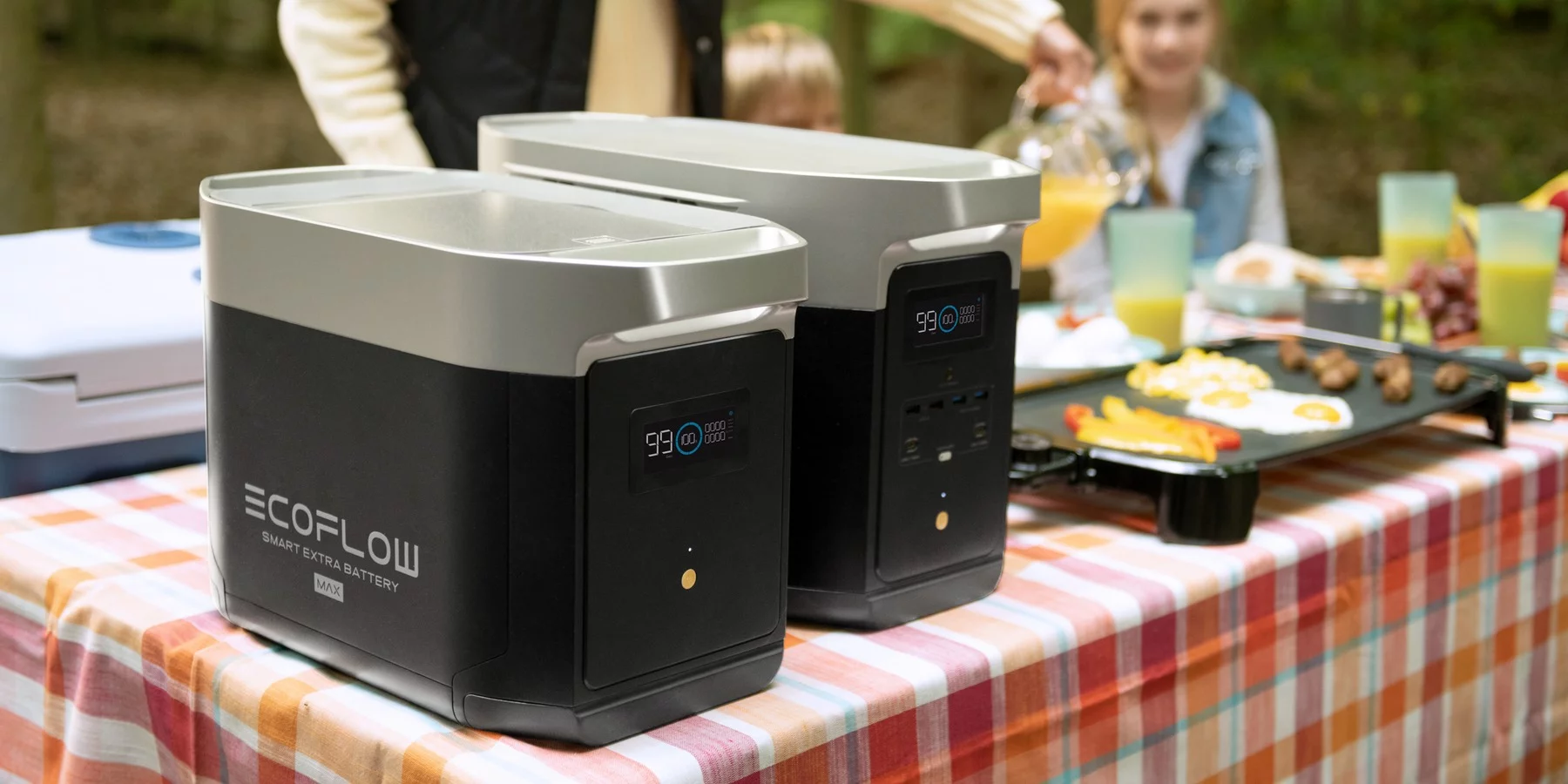 Зарядна станція EcoFlow DELTA Max 1600 (1612 Вт/г) (DELTAMAX1600)