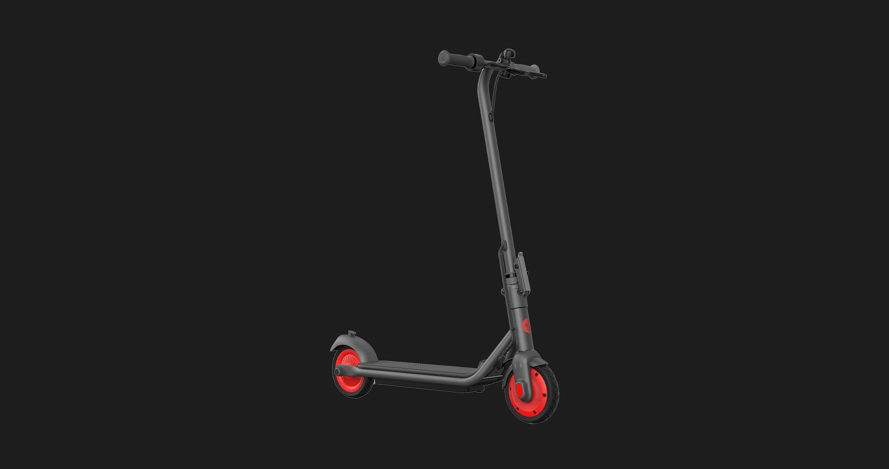 Електросамокат Ninebot by Segway eKickScooter ZING C20 (Black)