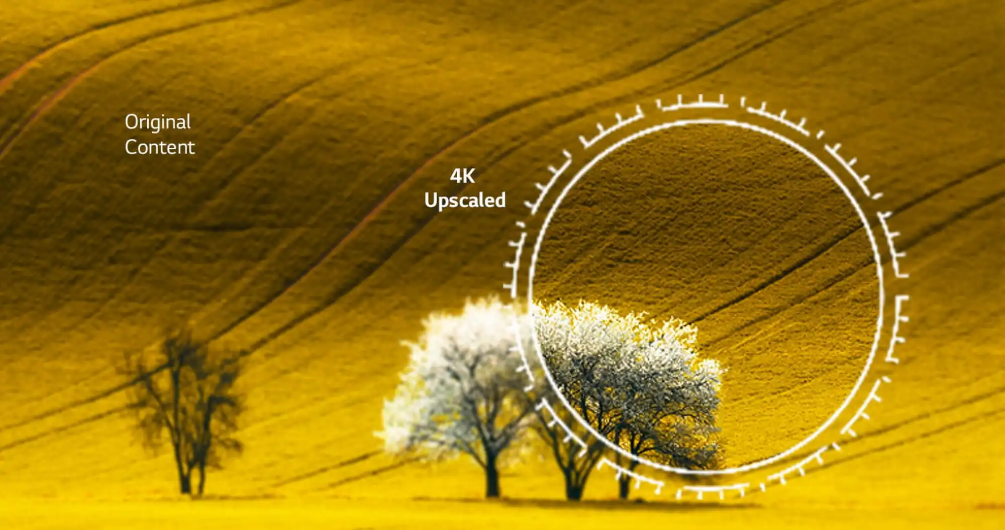 Телевізор LG 43 43UR78006LK (UA)