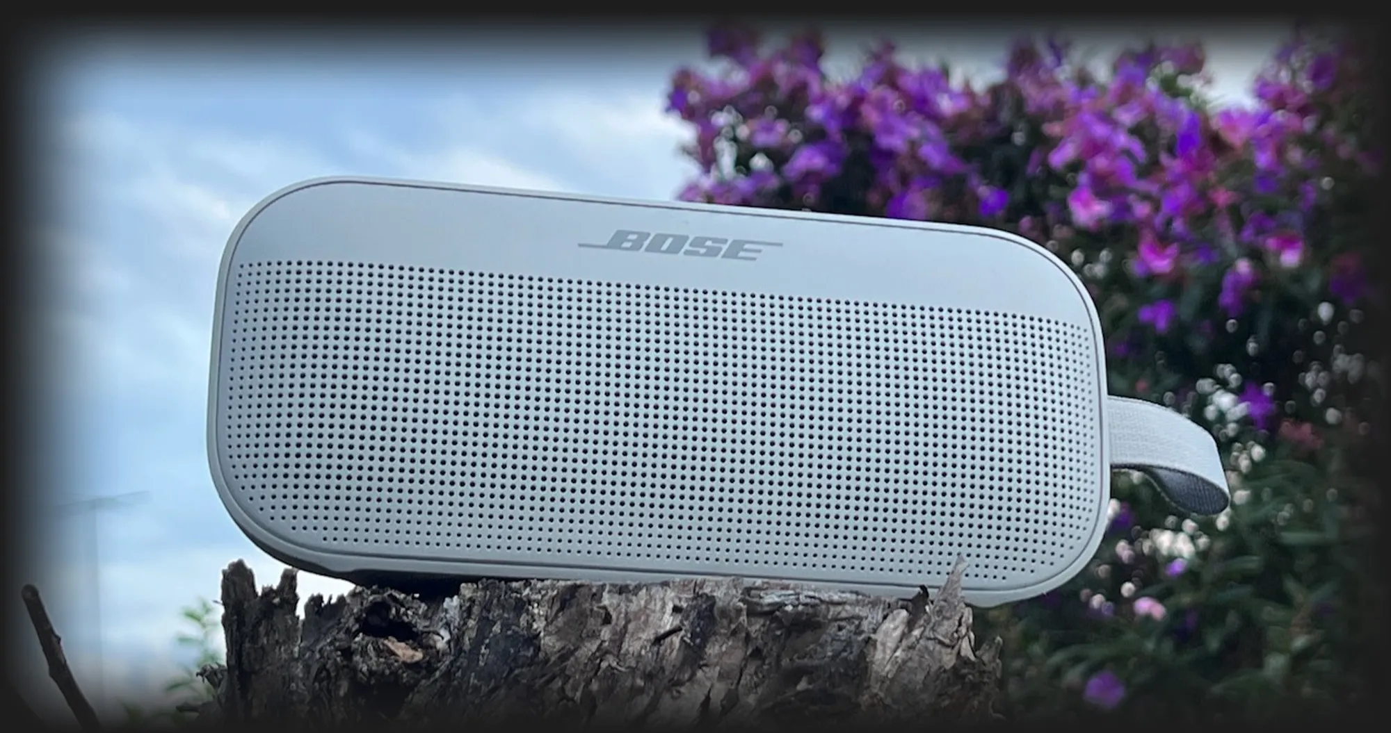 Акустика Bose Soundlink Flex (Black)