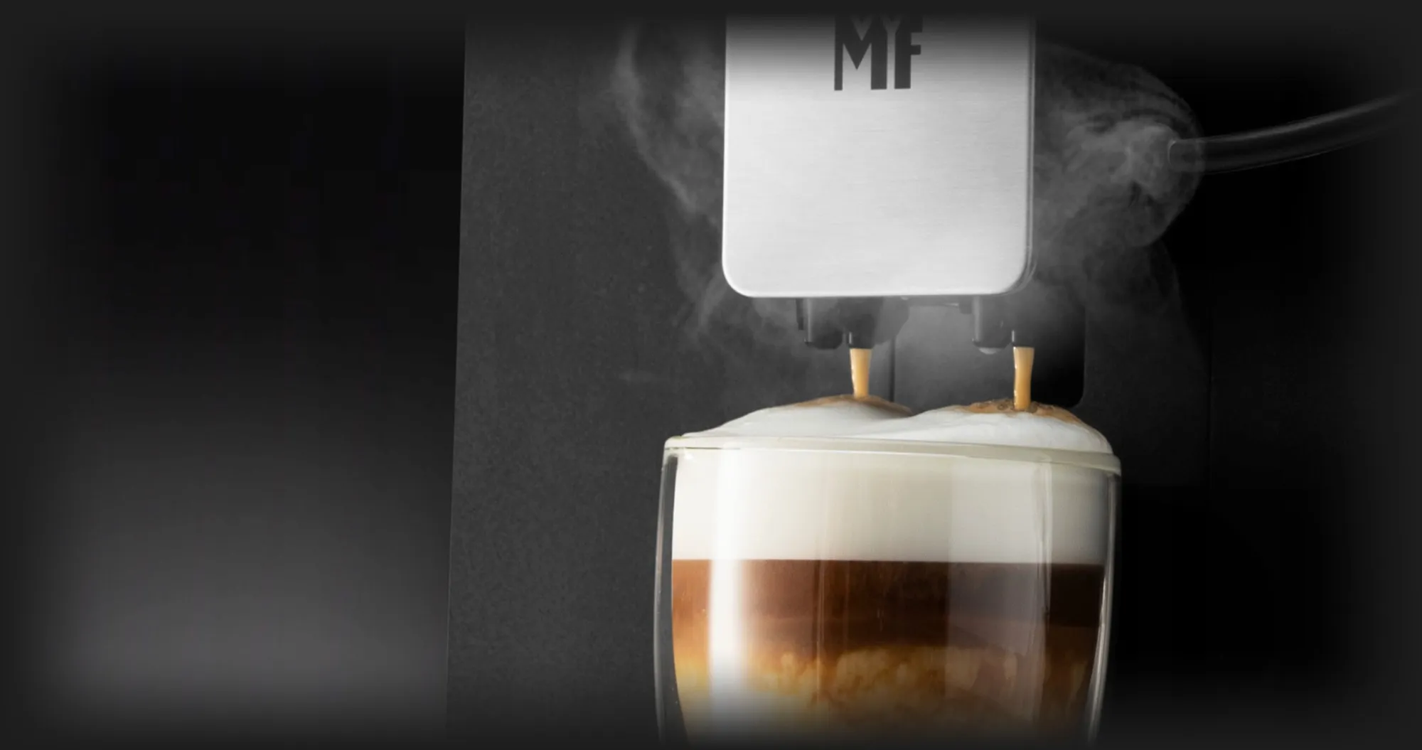 Кавомашина WMF Perfection 880L (Graphite) (EU)