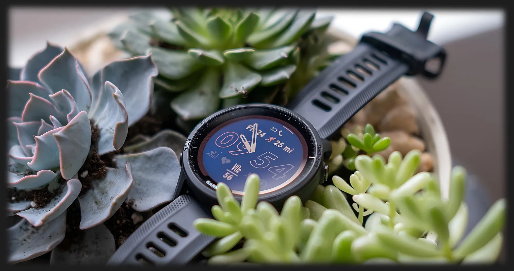 Garmin Forerunner 955 (Whitestone)
