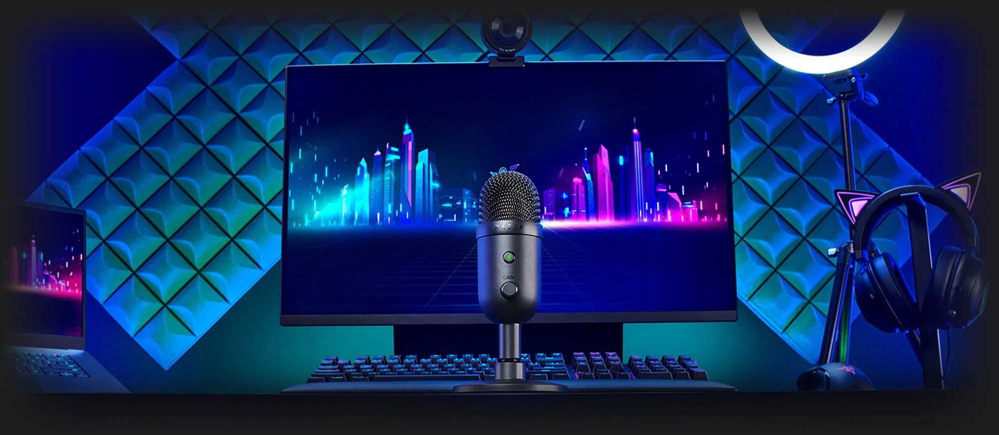 Микрофон Razer Seiren V2 X ANC USB (Black) (RZ19-04050100-R3M1) (EU)