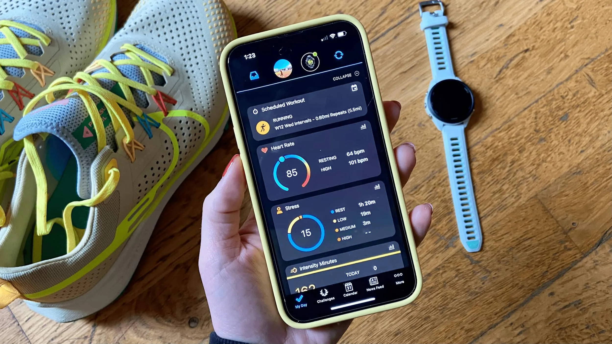 Garmin iphone online
