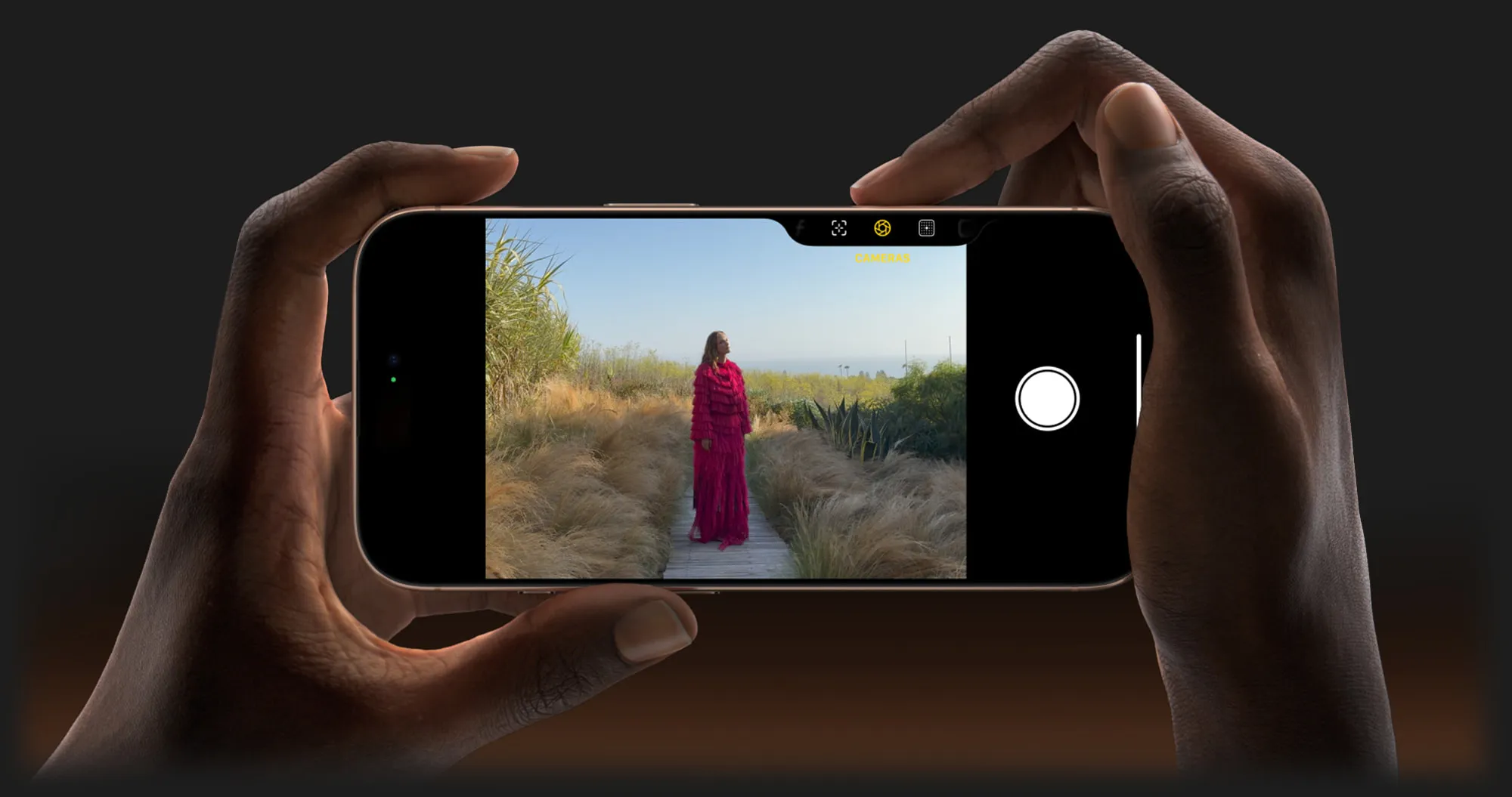 Apple iPhone 16 Pro 1TB (Desert Titanium)