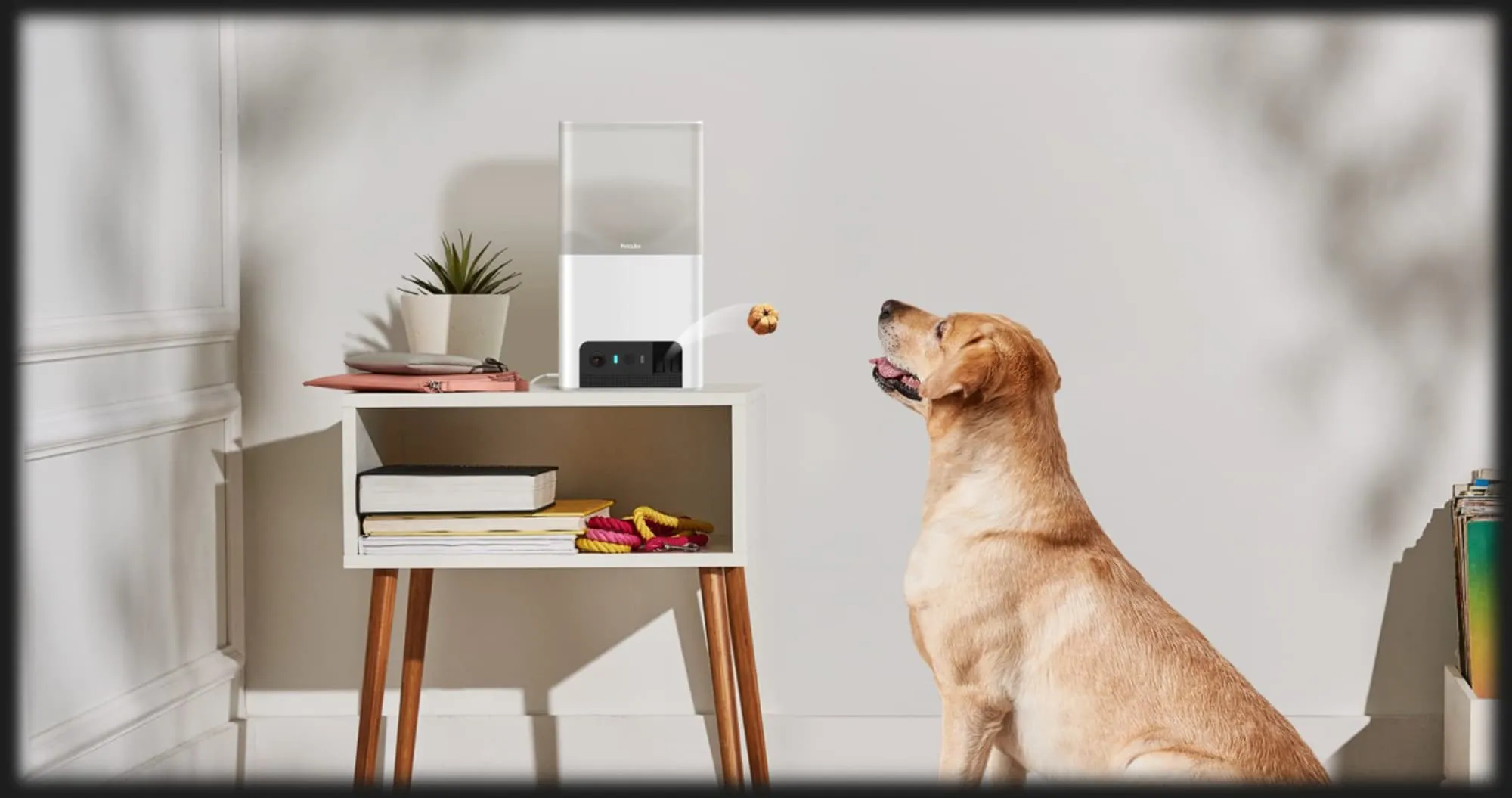 Інтерактивна HD камера Petcube Bites 2 Lite (Silver)