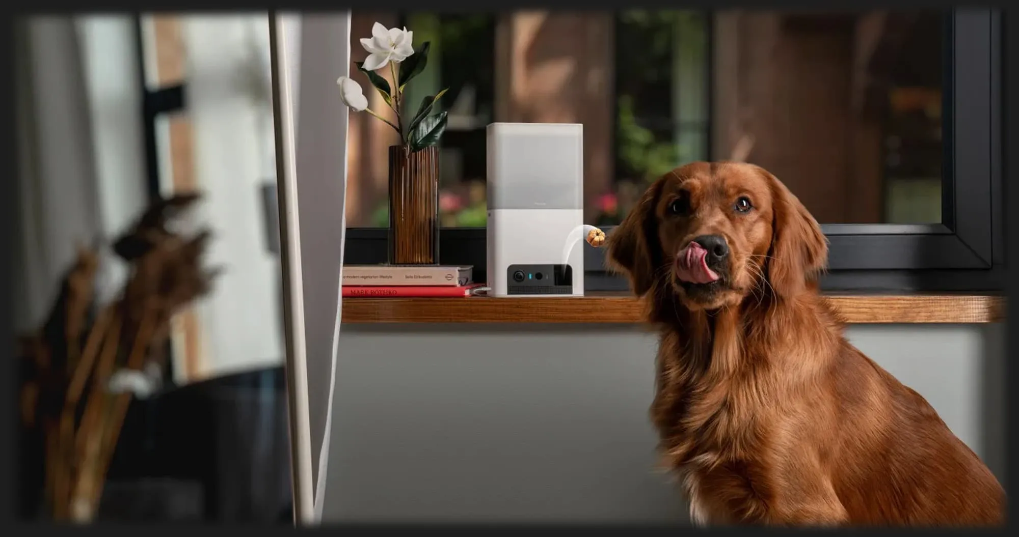 Інтерактивна HD камера Petcube Bites 2 Lite (Silver)