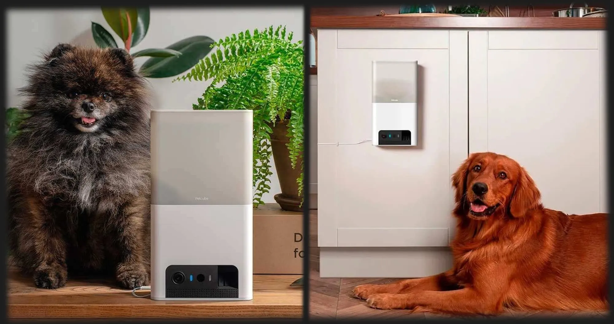 Інтерактивна HD камера Petcube Bites 2 Lite (Silver)