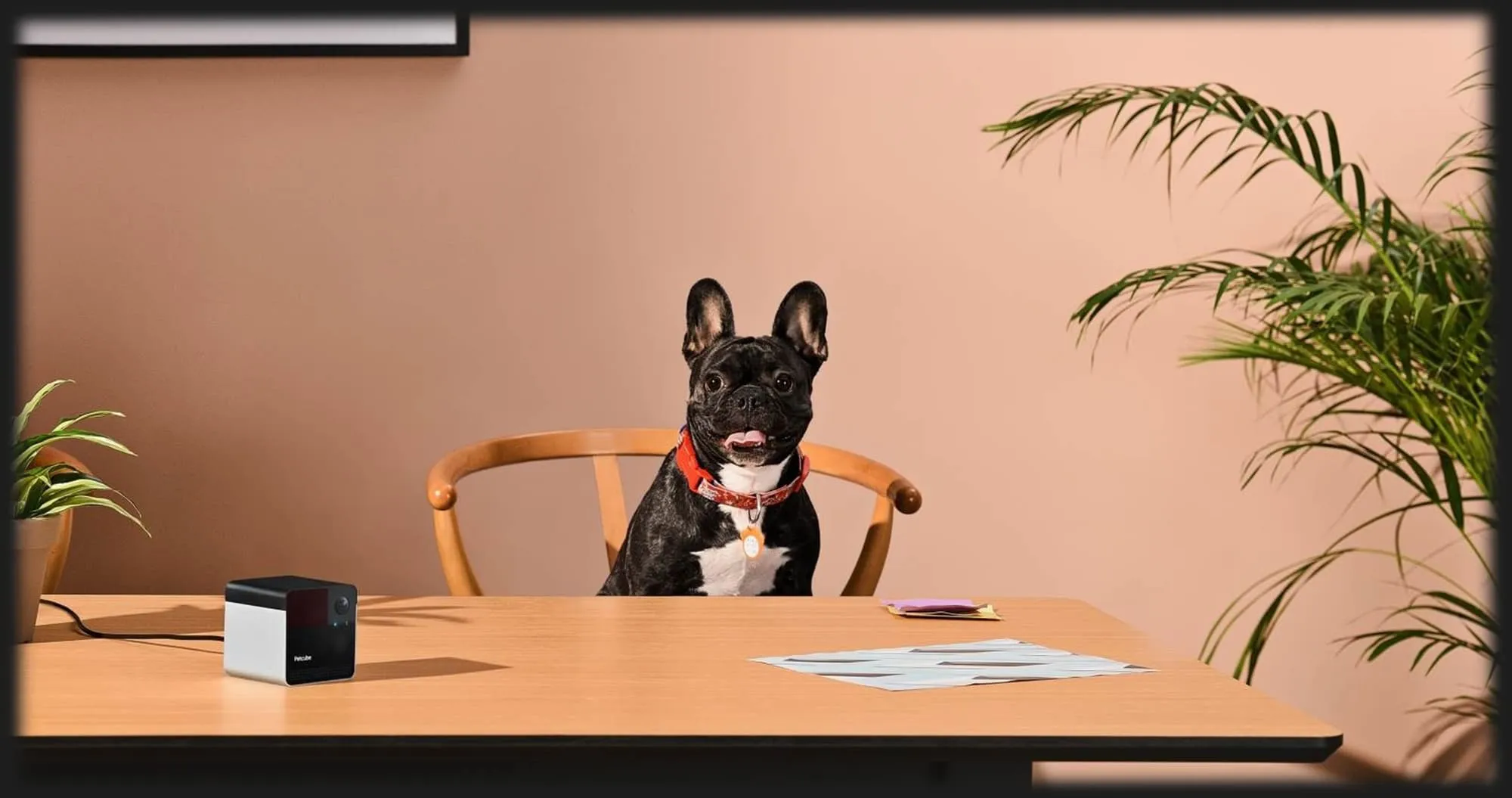 Компактна HD камера Petcube Play 2