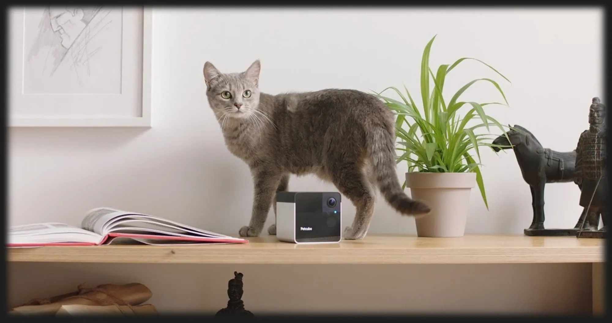 Компактна HD камера Petcube Play 2