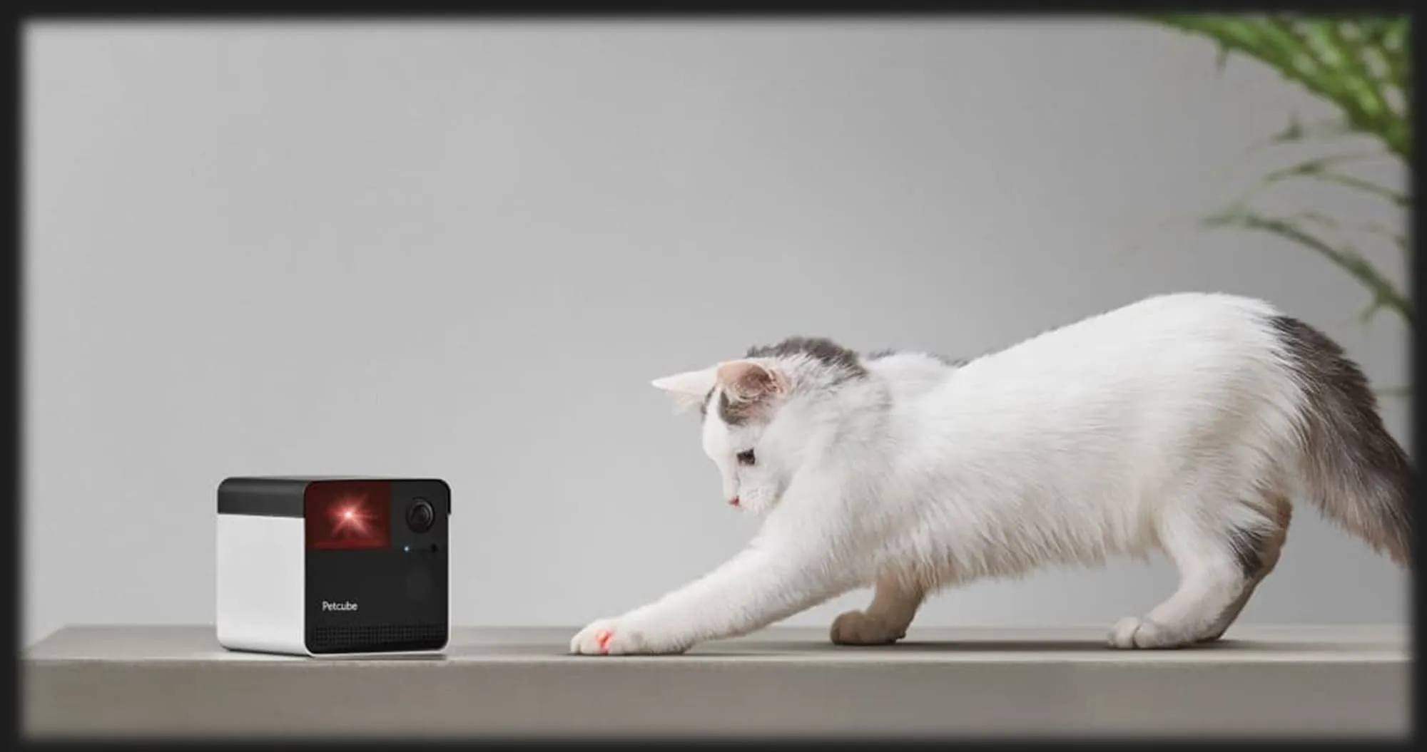 Компактна HD камера Petcube Play 2