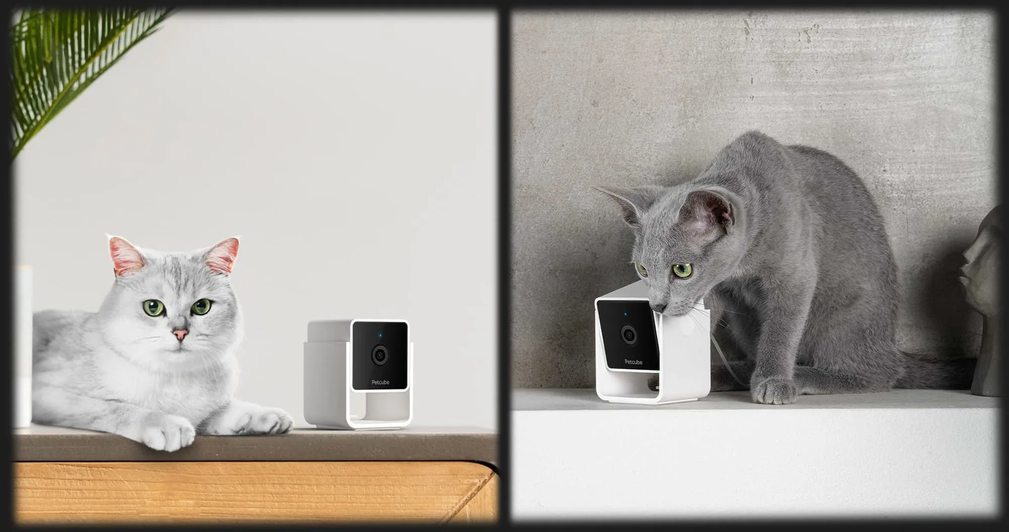 Компактна HD камера Petcube Cam (White)