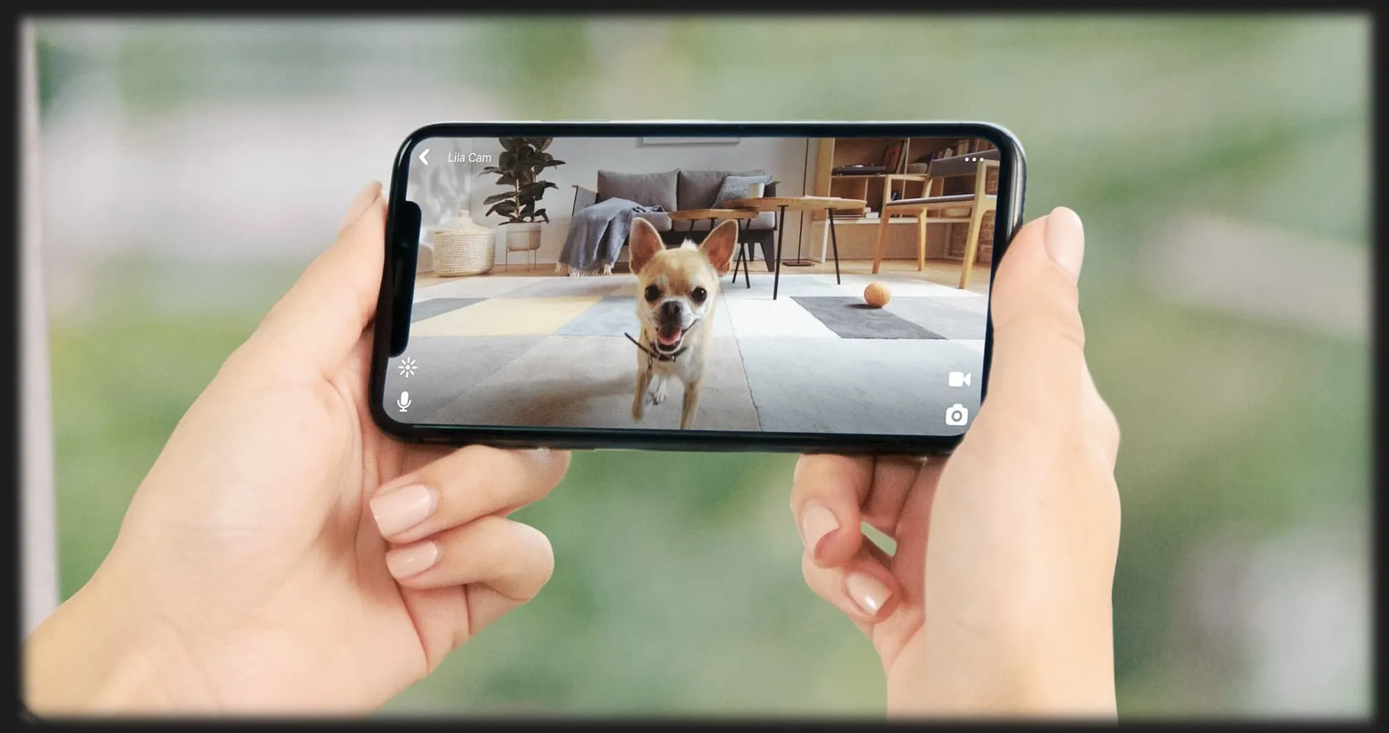 Компактная HD камера Petcube Cam (White)