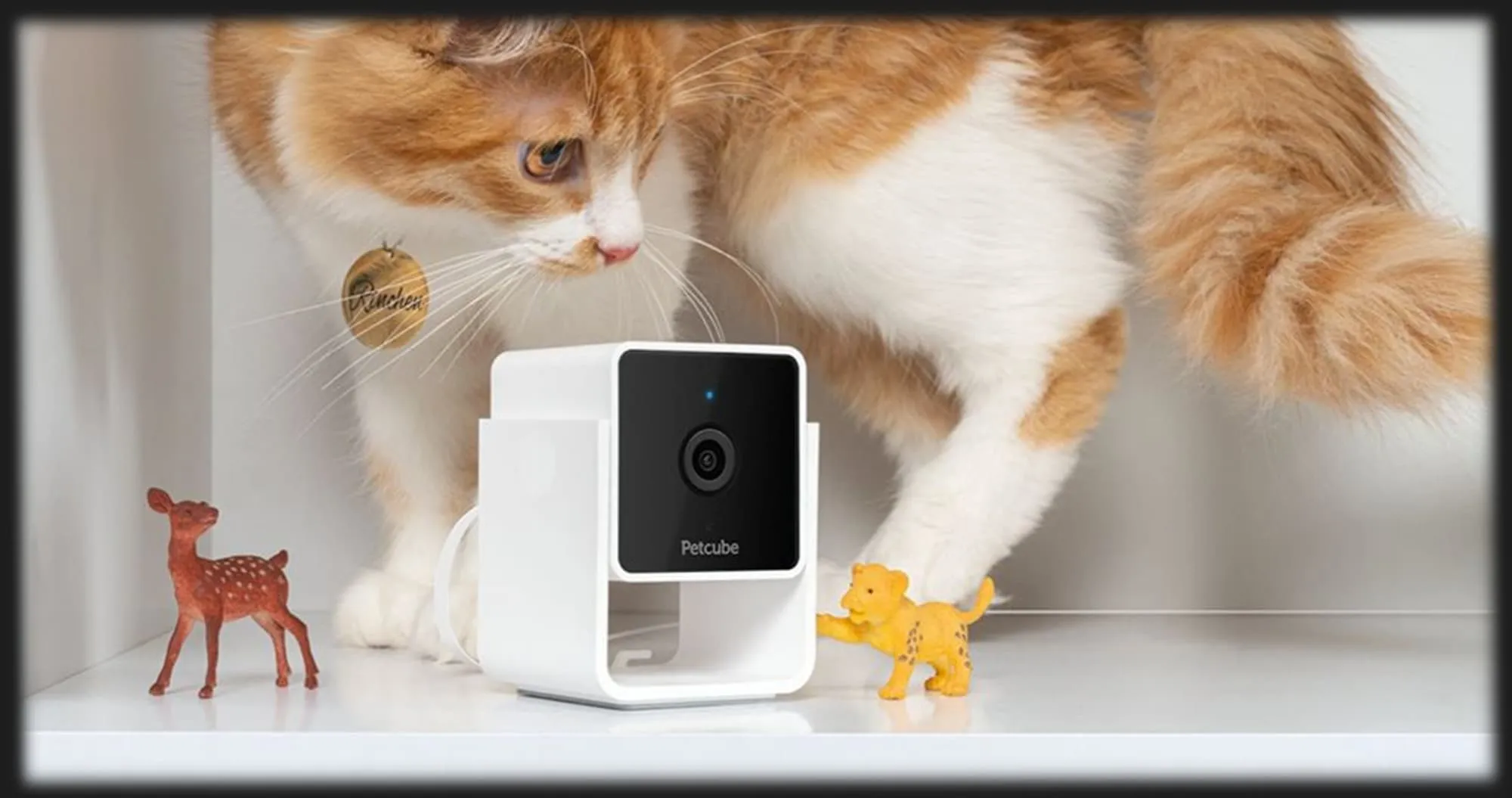 Компактная HD камера Petcube Cam (White)