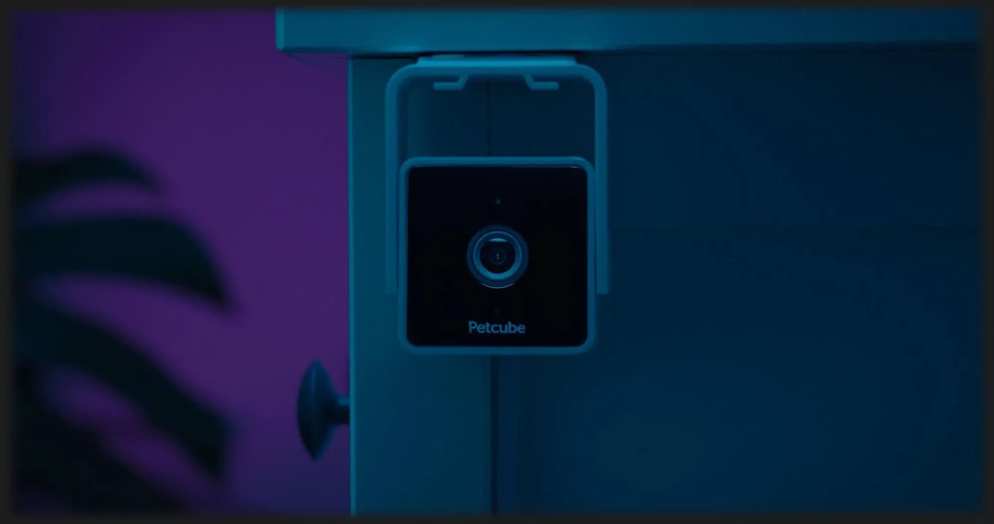 Компактна HD камера Petcube Cam (White)