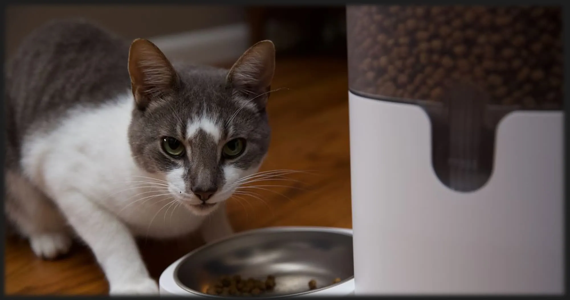 Умная кормушка для животных Aqara C1 (White) 