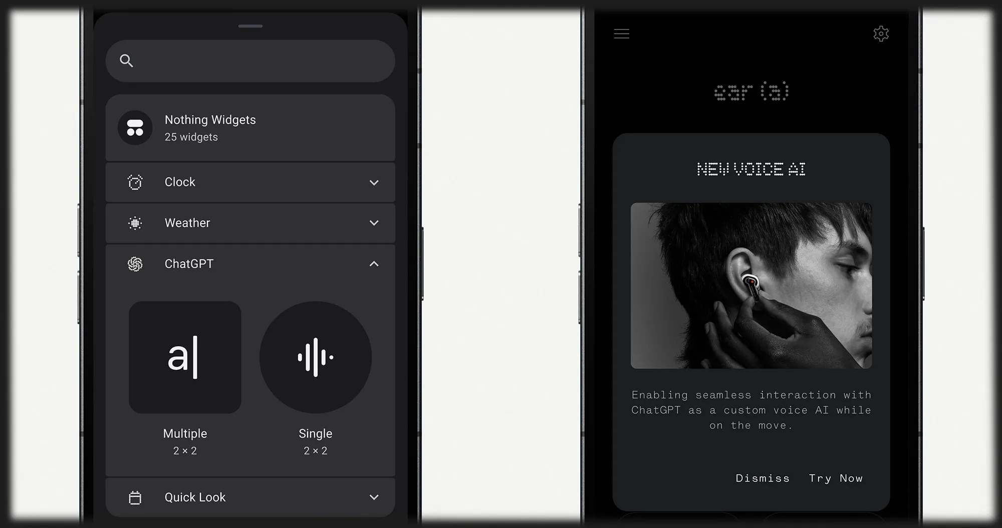 Nothing Phone (2a) Plus 12/256GB (Gray) (Global)