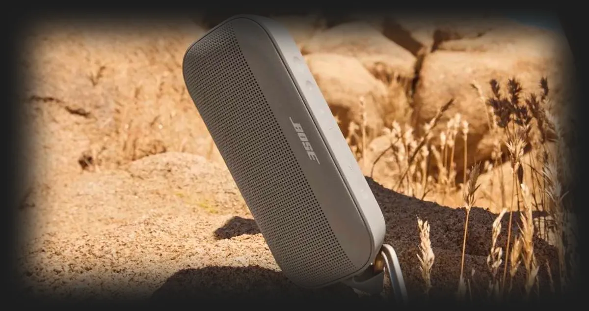 Акустика Bose SoundLink Flex II Speaker (Black)