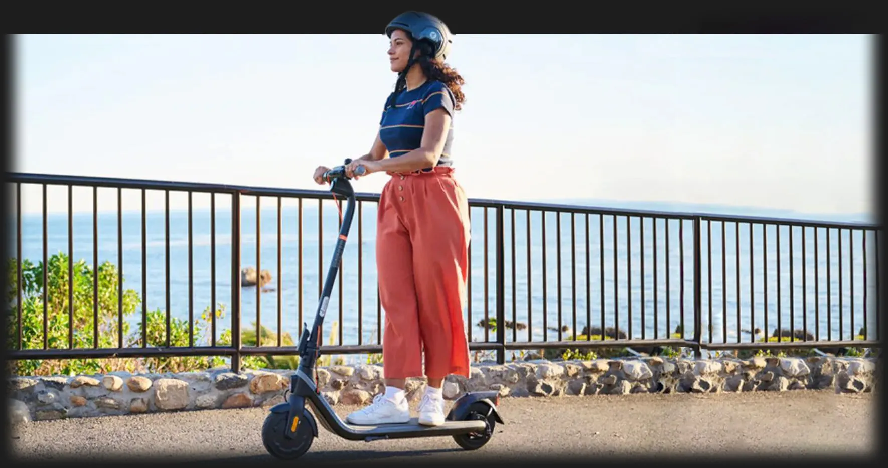 Электросамокат Ninebot by Segway E2 E (Black)