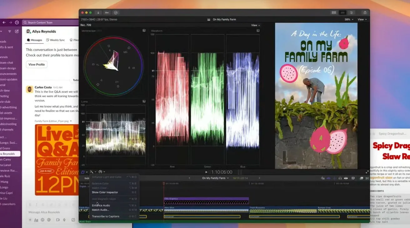 Final Cut Pro 11.1 (macOS)