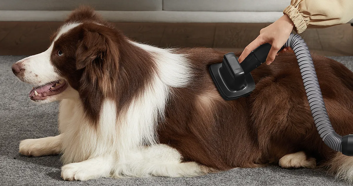 Пилосоc Dreame Z30 Animal (Black) (UA)