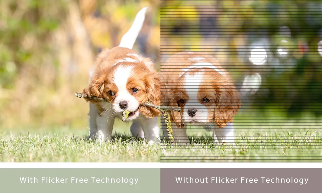 Игровой монитор Asus 23.8" VY249HGR (90LM06A3-B03A70) (UA)