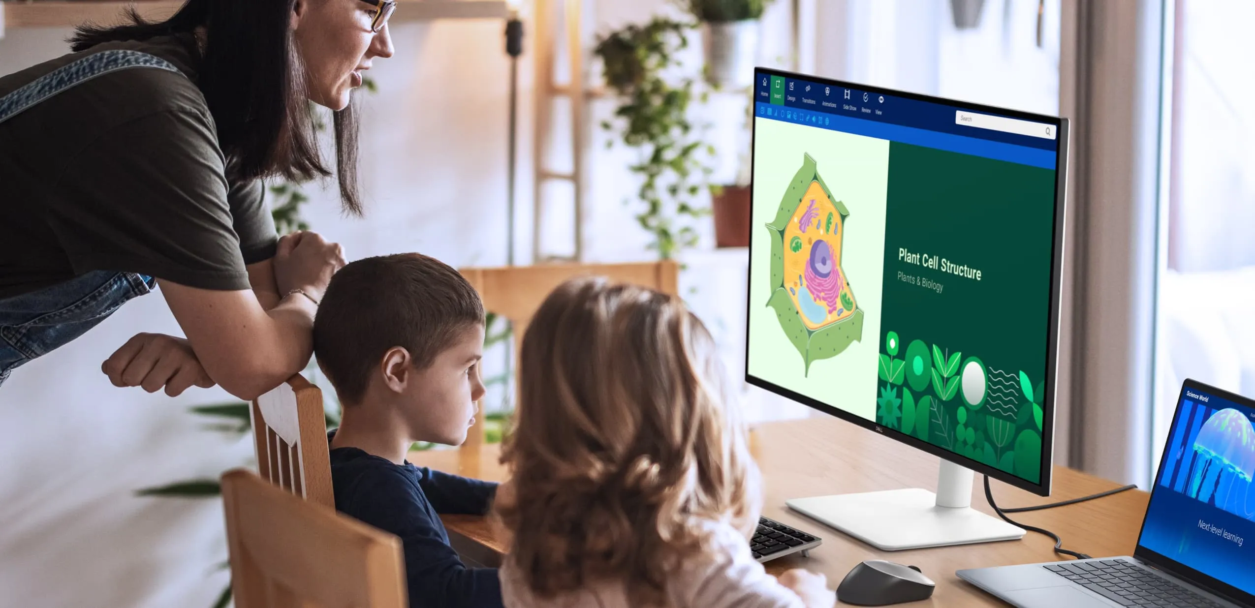 Монитор Dell 31.5" S3225QS (210-BQWP) (UA)