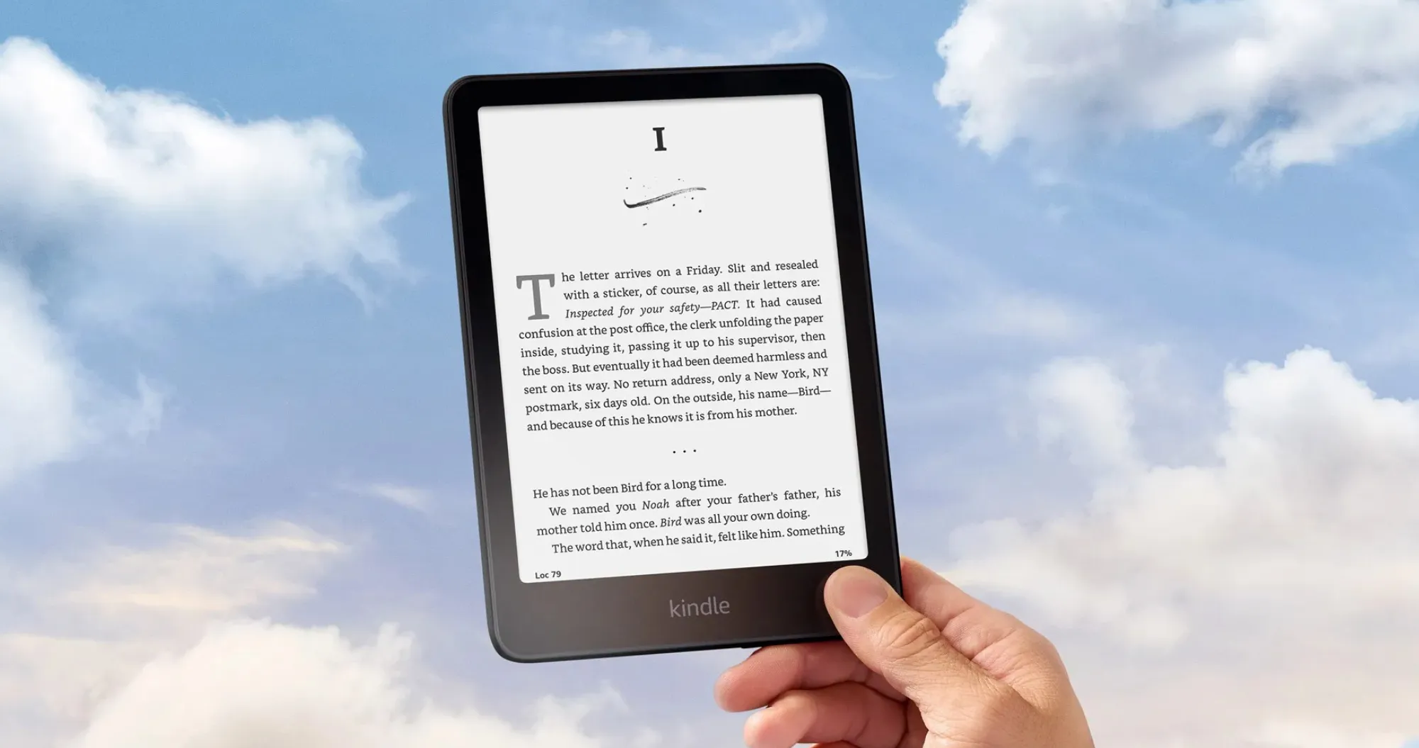 Электронная книга Amazon Kindle 11th Gen (2024) (Matcha) (Standard)