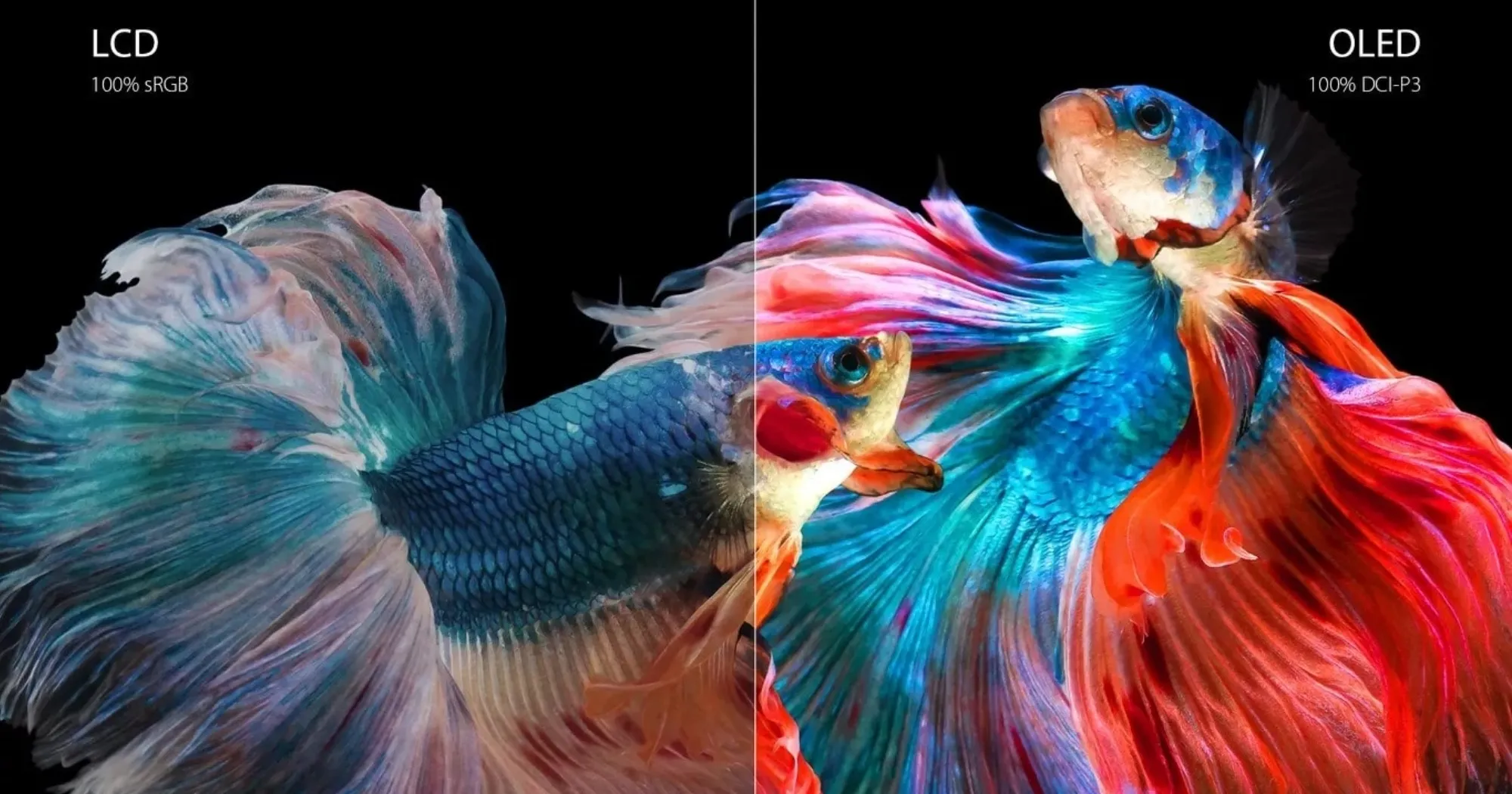 Ноутбук Asus Vivobook Pro 15 M3500QA 15.6" (AMD Ryzen 7/16GB/512GB (SSD)/AMD Radeon Graphics) (M3500QA-L1045T) (Standard)