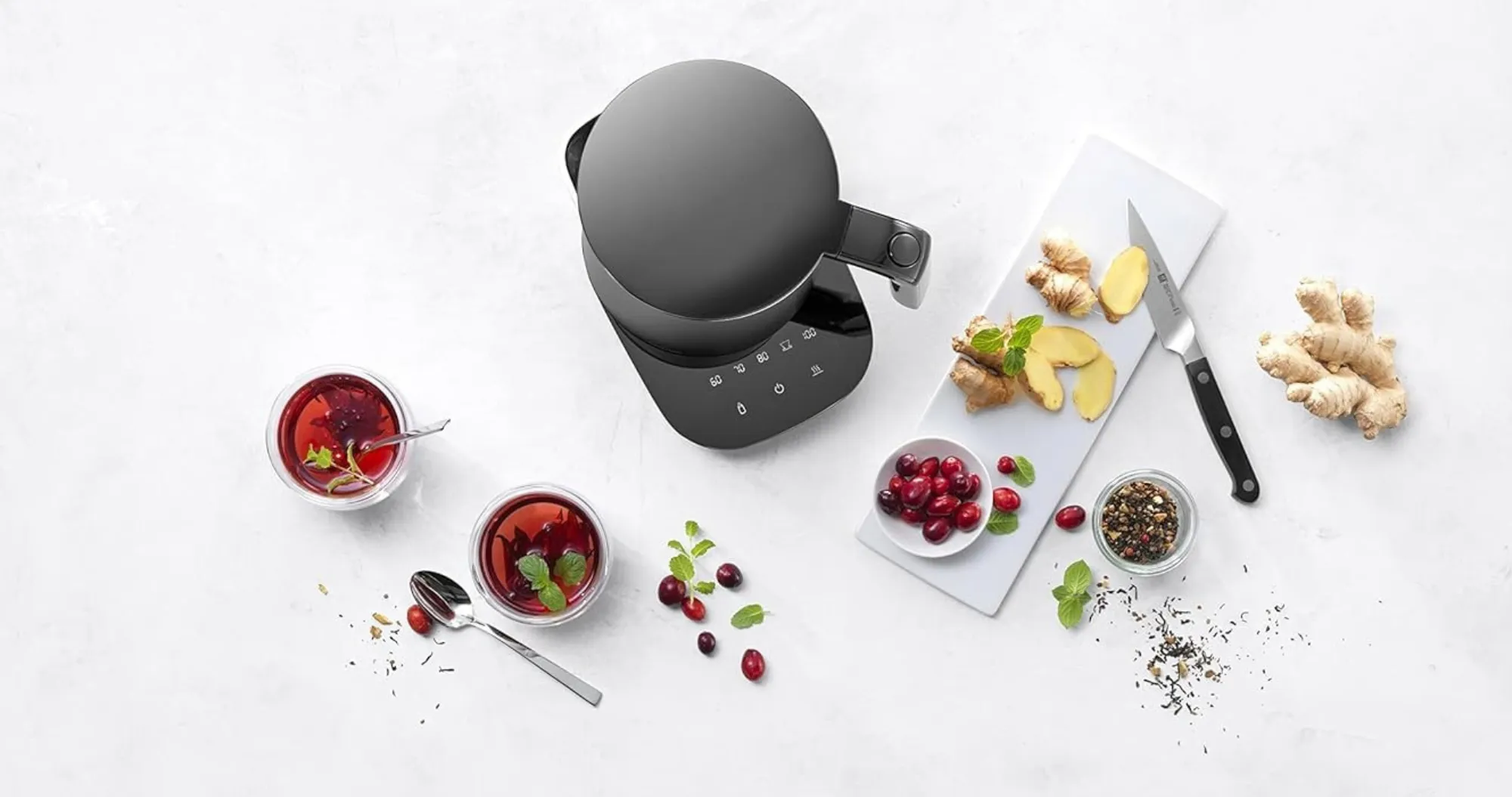 Электрочайник Zwilling Enfinigy Pro (Silver) (EU)