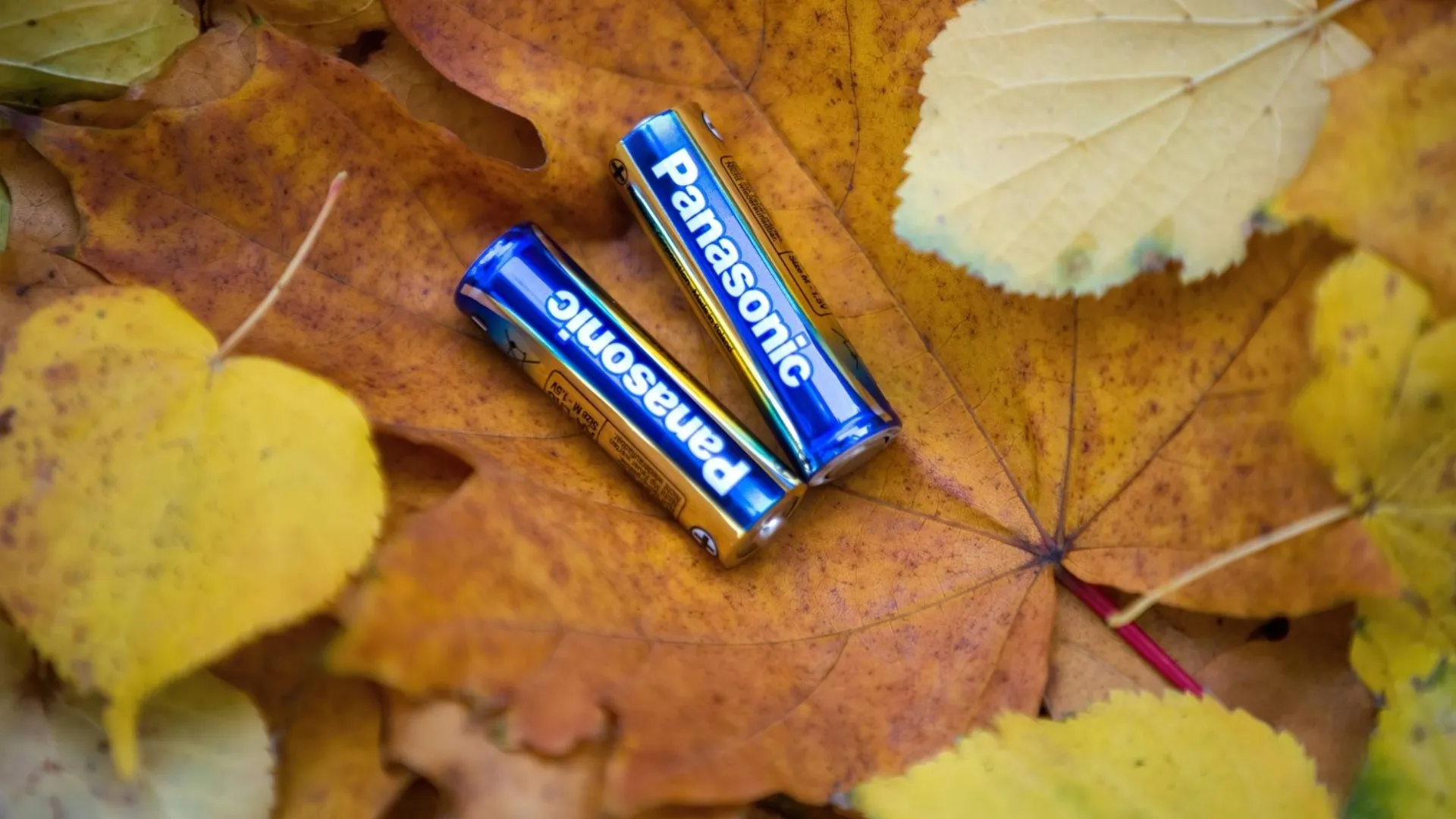 Батарейка Panasonic EVOLTA лужна AA (блістер 4 шт)