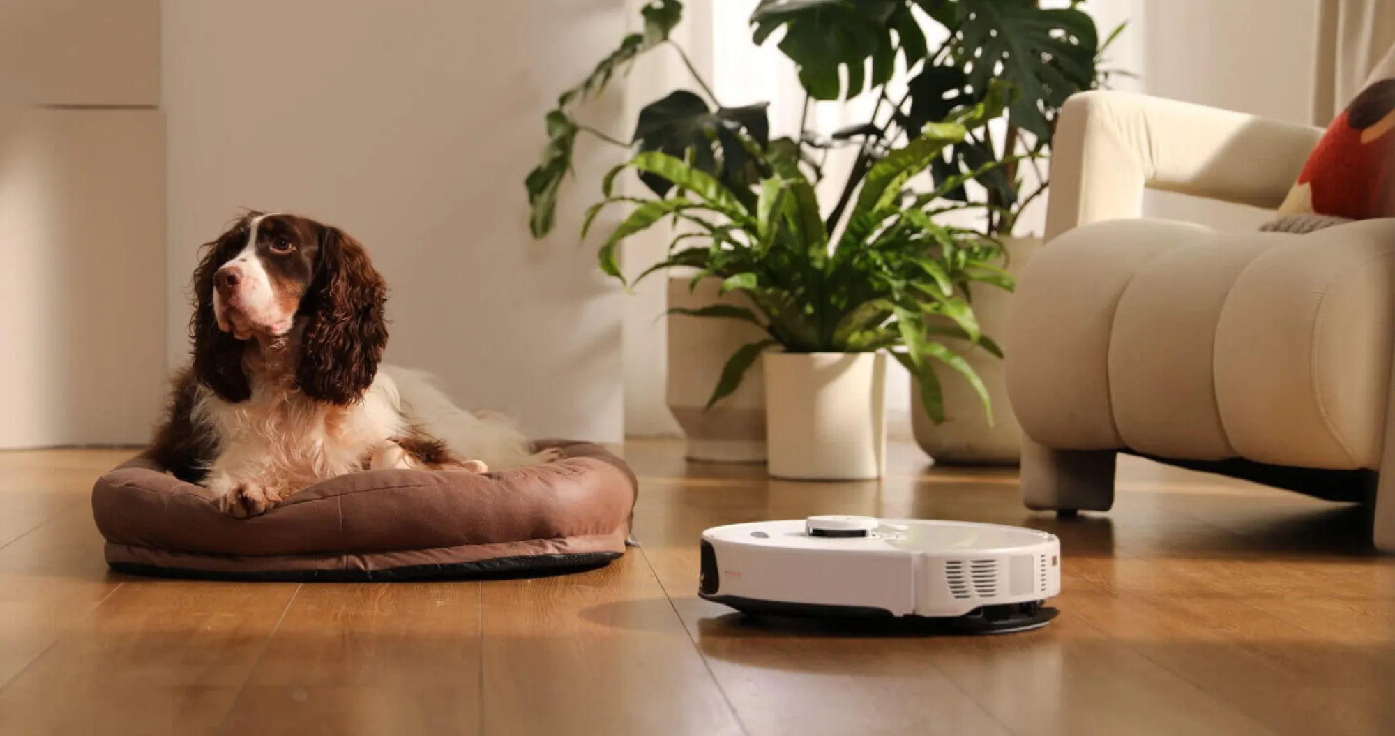 Робот-пилосос RoboRock S8 Max Ultra (White) (UA)