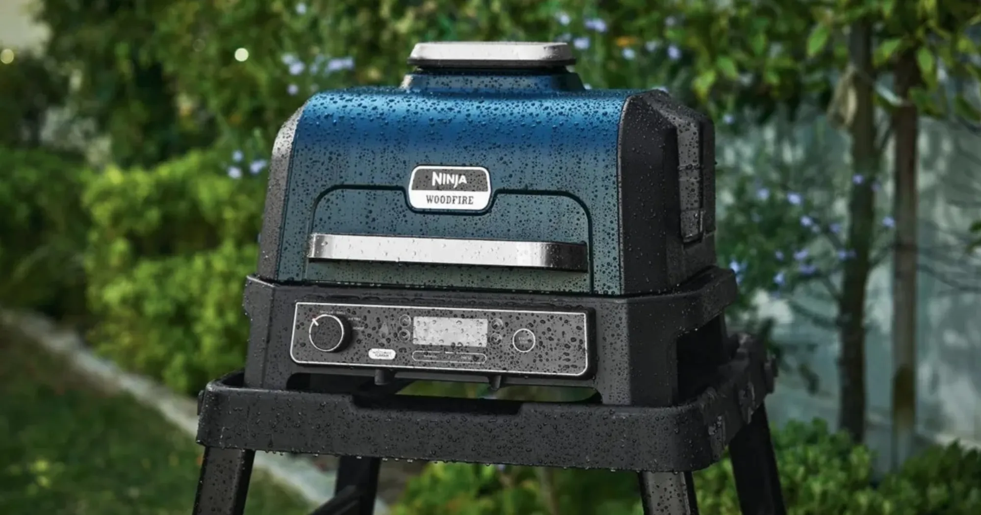 Гриль Ninja Woodfire Pro XL OG850EU (UA)