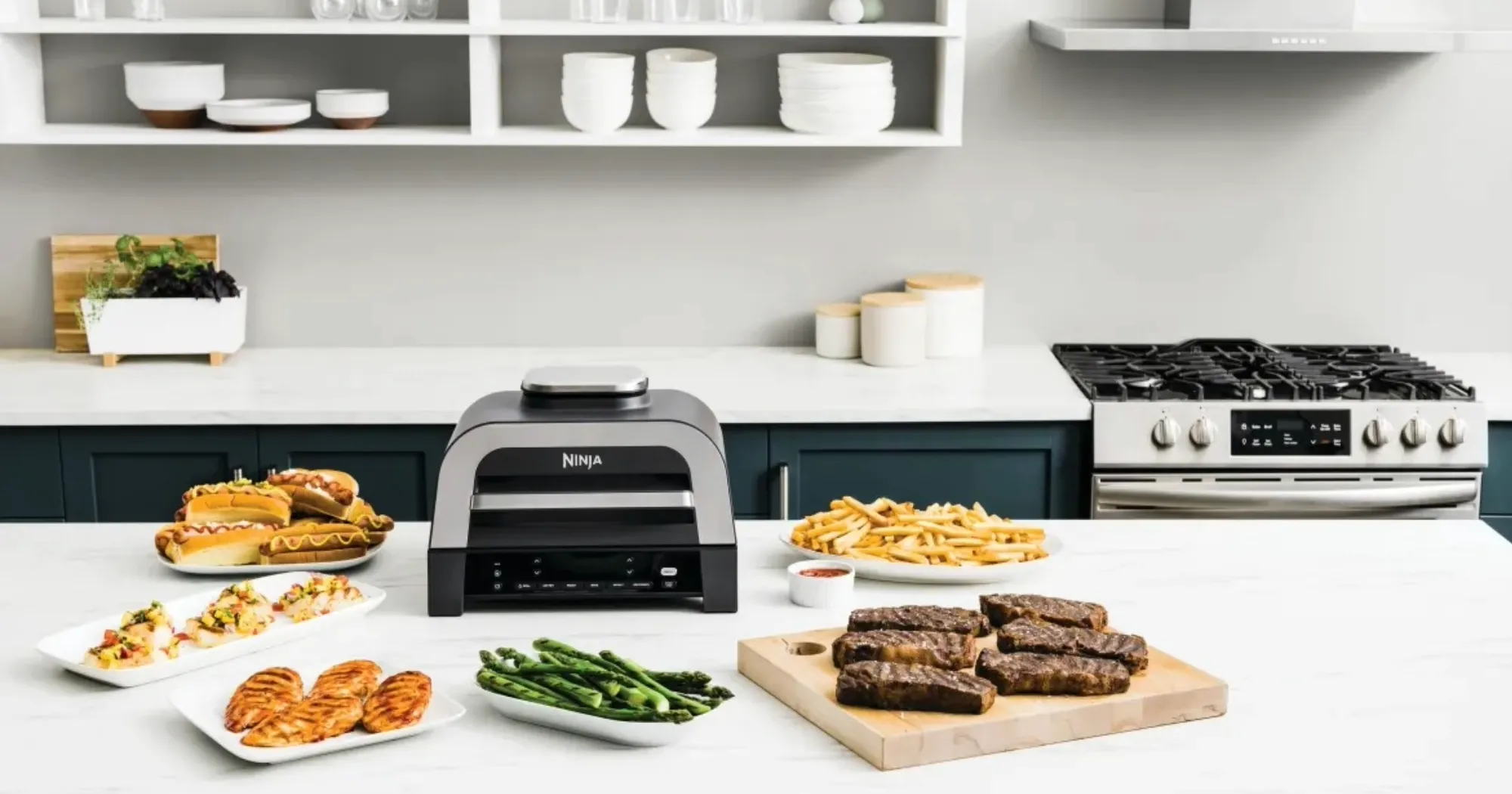 Гриль Ninja Foodi DG551EU (UA)