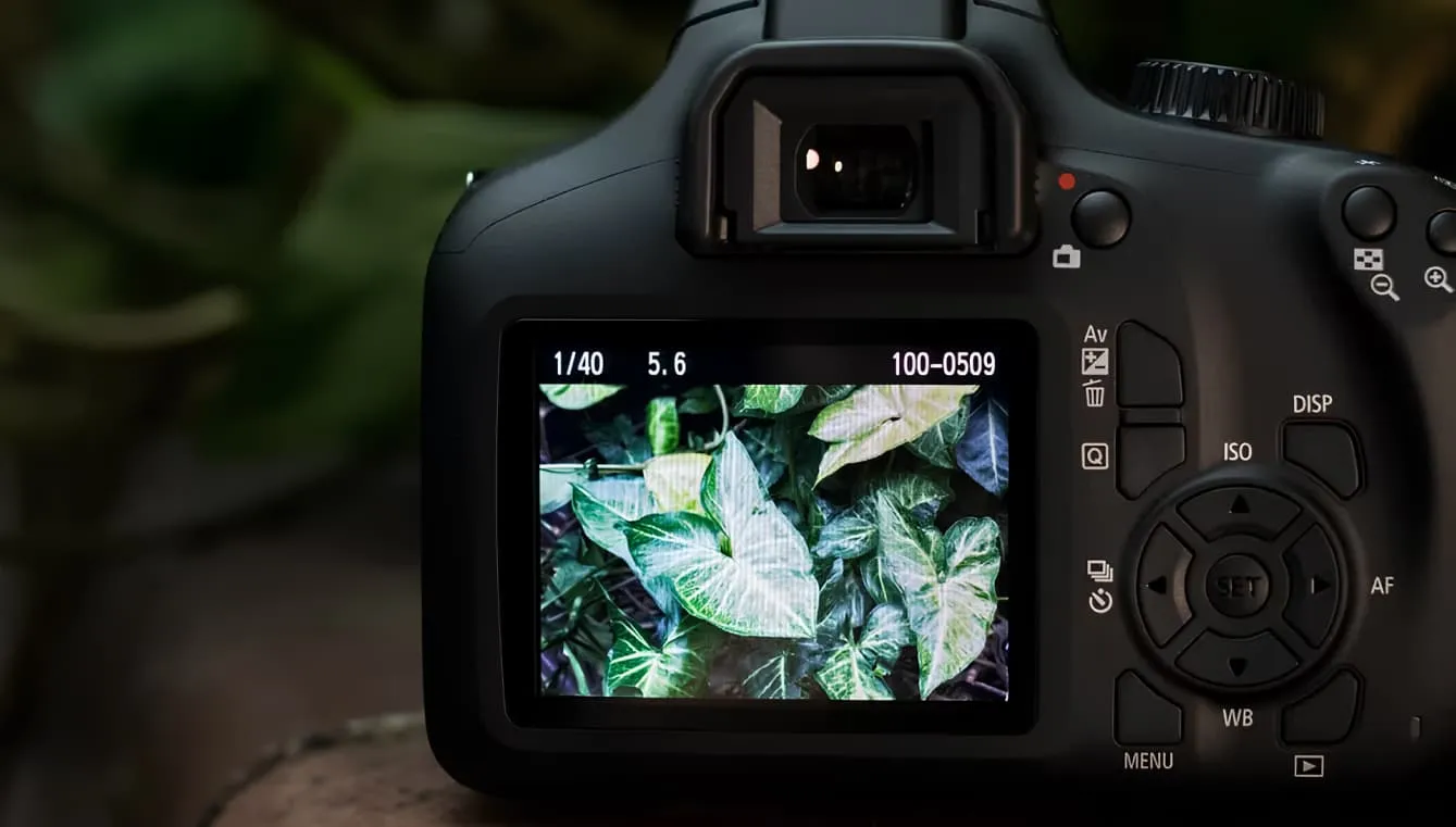 Цифровий фотоапарат Canon EOS 4000D Kit 18-55 III (3011C004) (Standard)