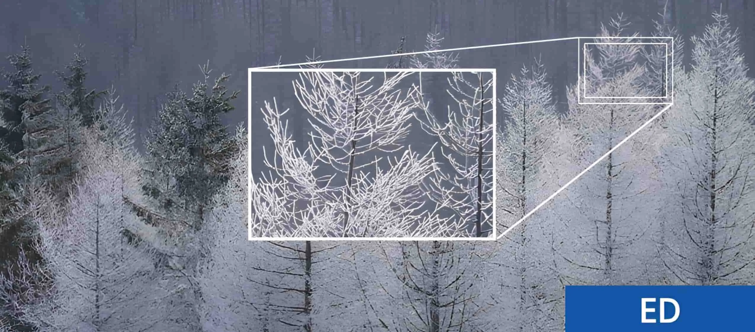 Длиннофокусный объектив Sony FE 70-200mm f/4 G OSS (SEL70200G.AE) (Standard)