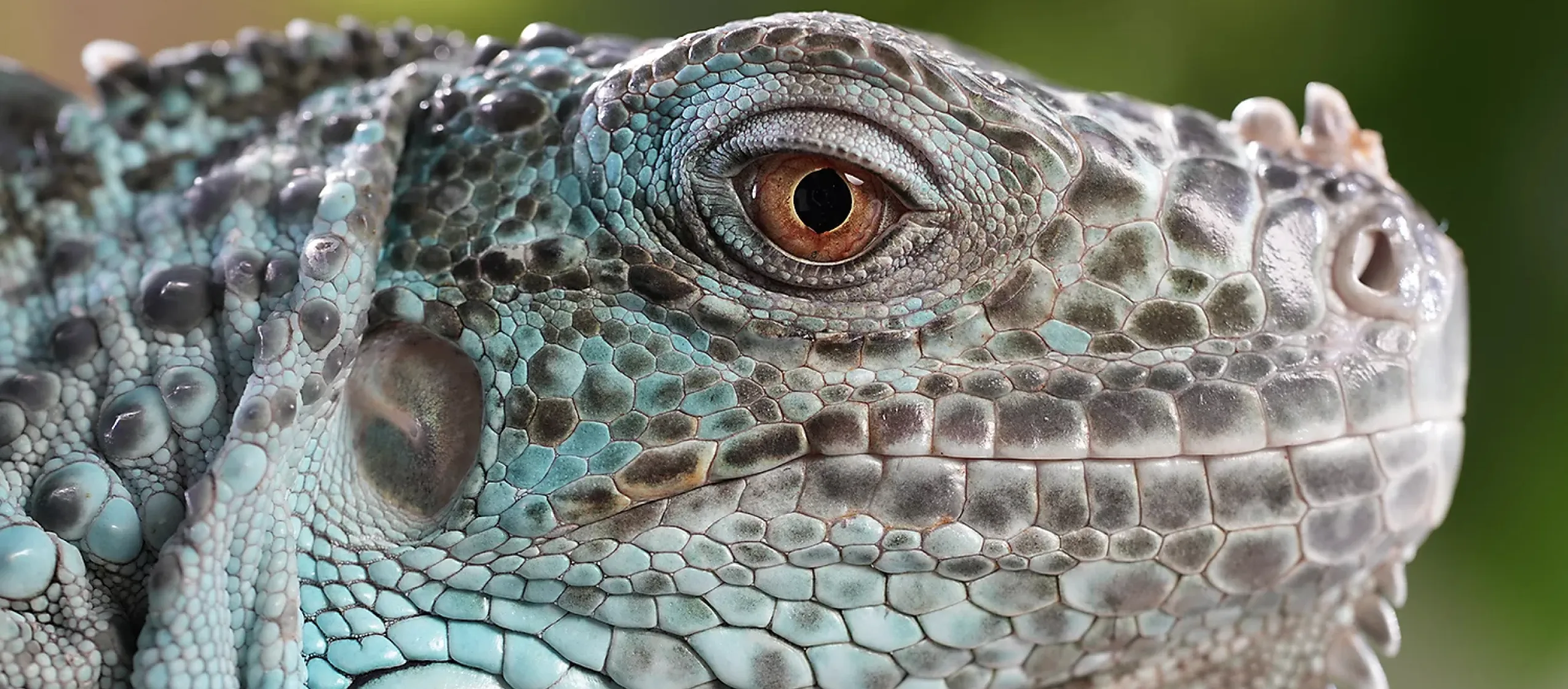 Довгофокусний об'єктив Sony FE 70-200mm f/4 Macro G OSS II (SEL70200G2.SYX) (Standard)