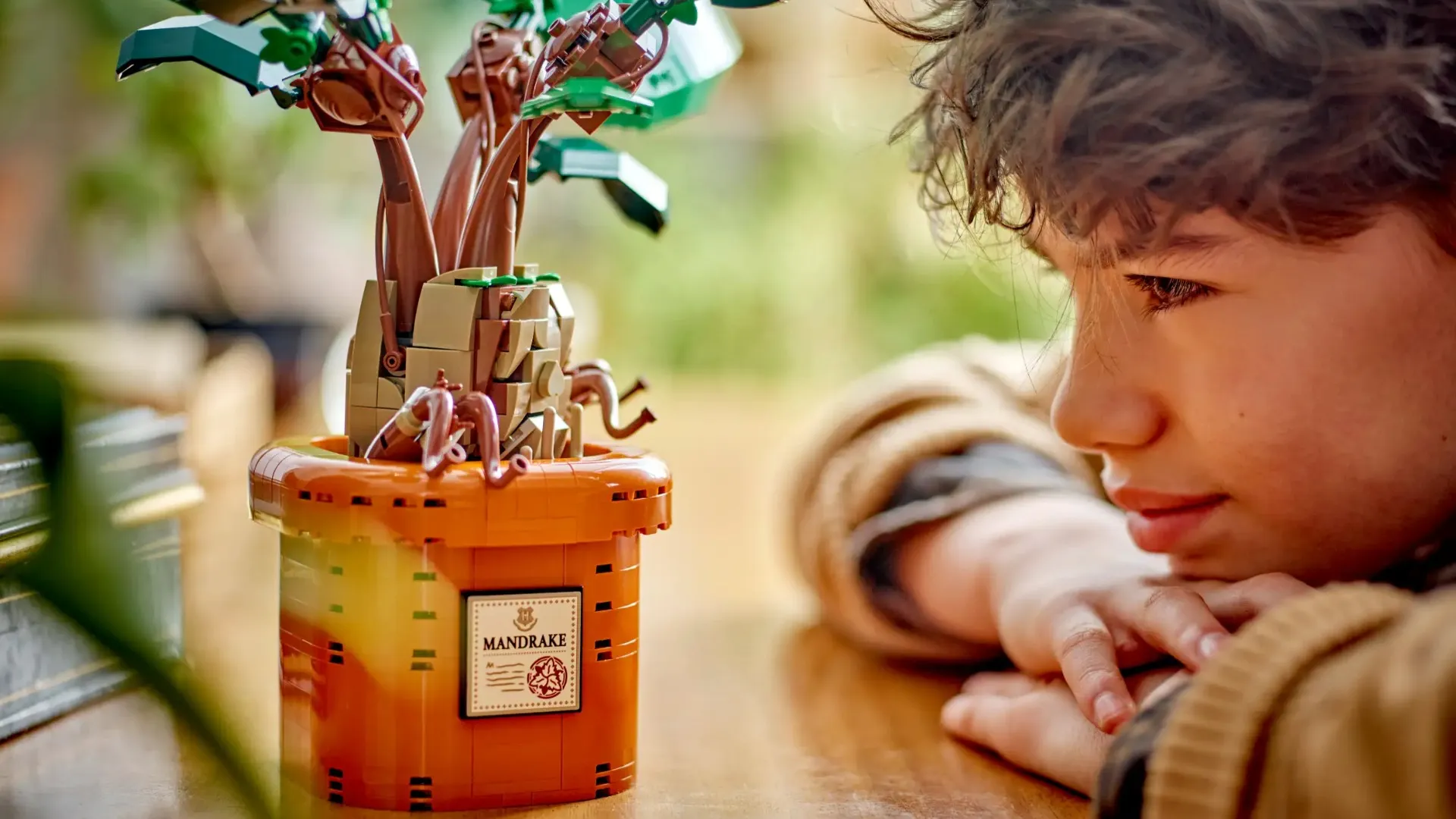 Конструктор LEGO Harry Potter Mandrake (76433)