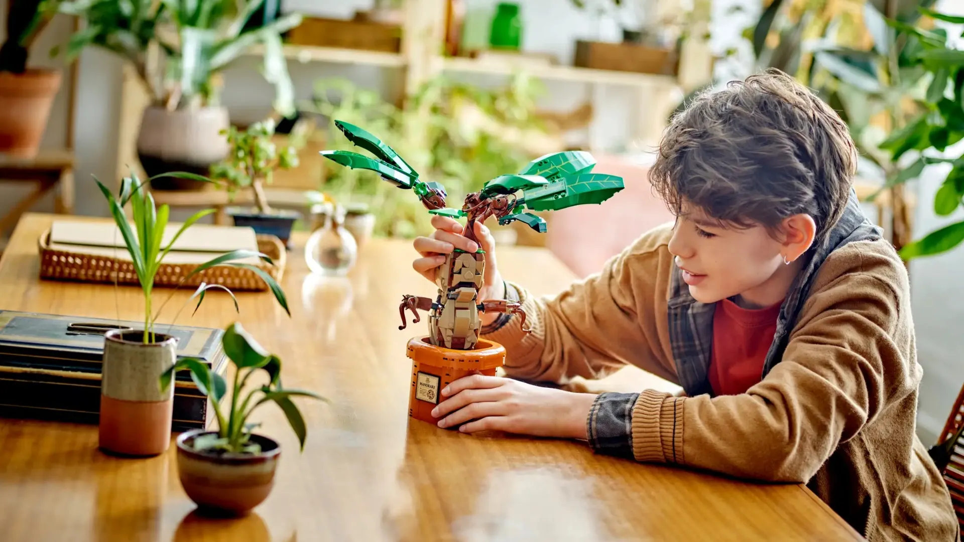 Конструктор LEGO Harry Potter Mandrake (76433)