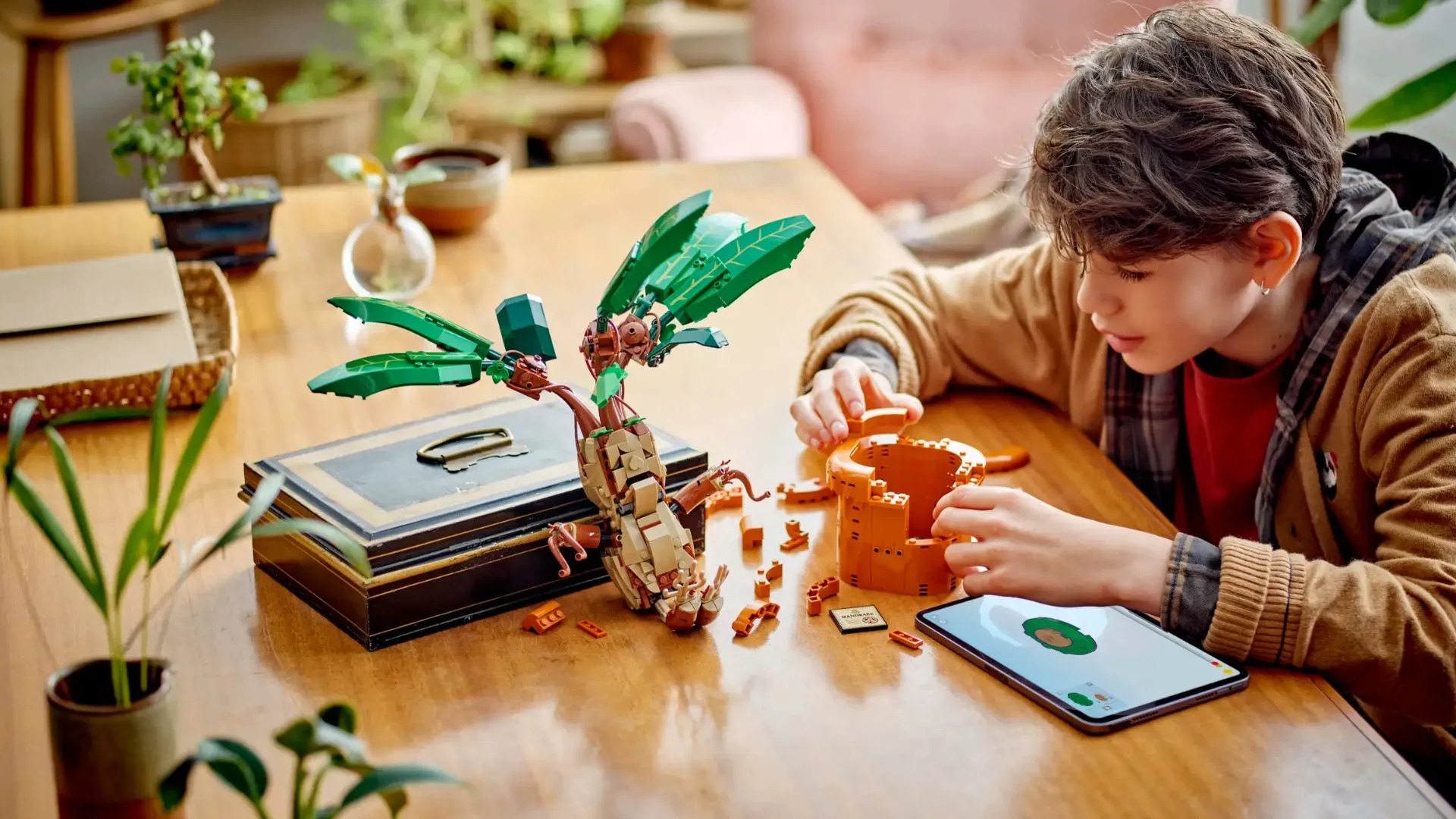 Конструктор LEGO Harry Potter Mandrake (76433)