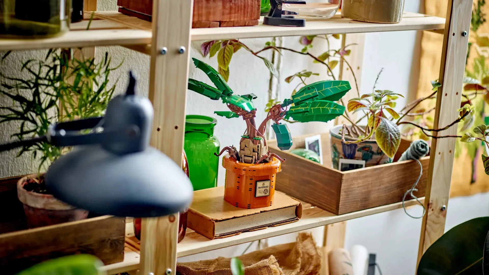 Конструктор LEGO Harry Potter Mandrake (76433)