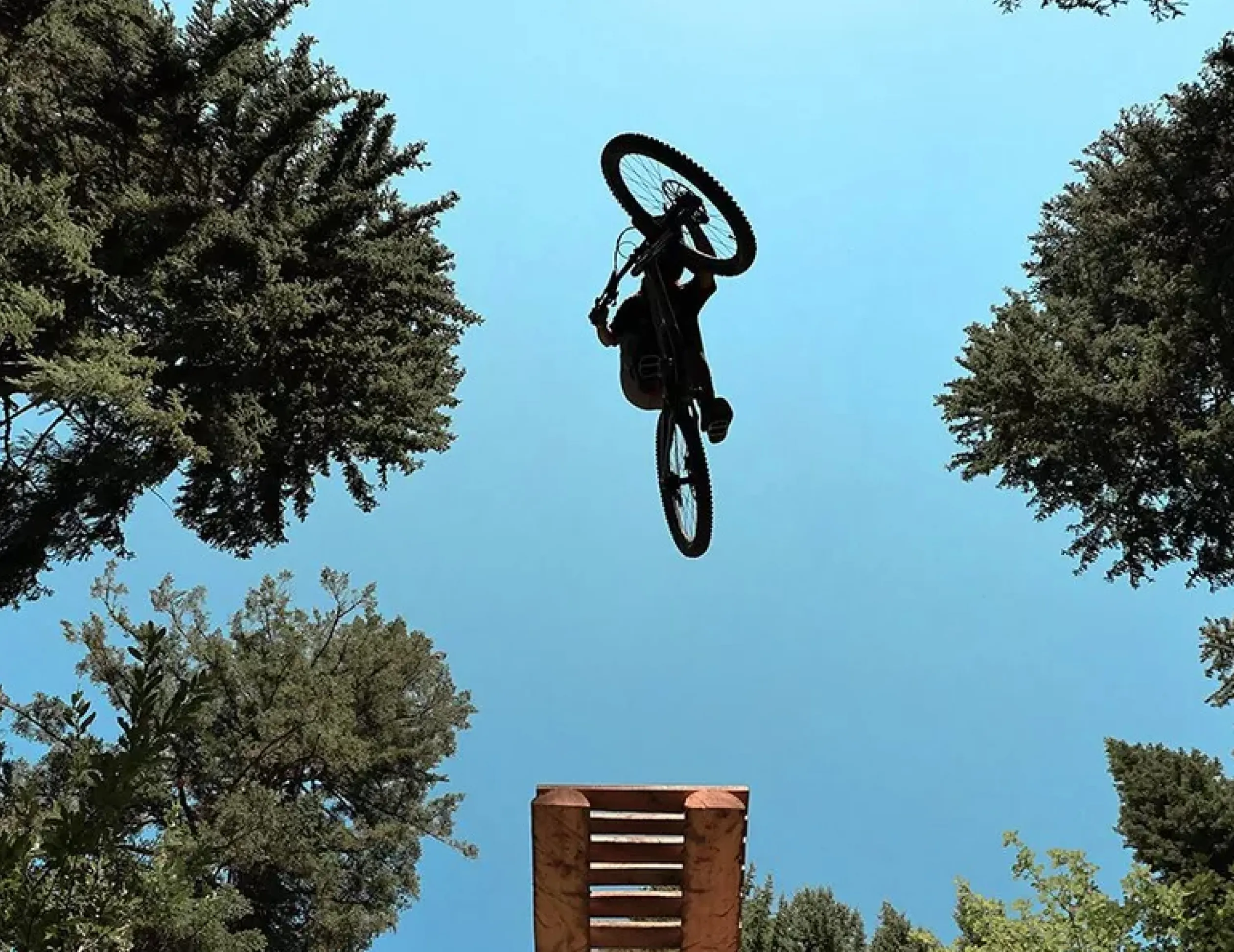 Цифровий фотоапарат Canon EOS R6 Mark II kit 24-105mm IS STM (5666C030) (Standard)