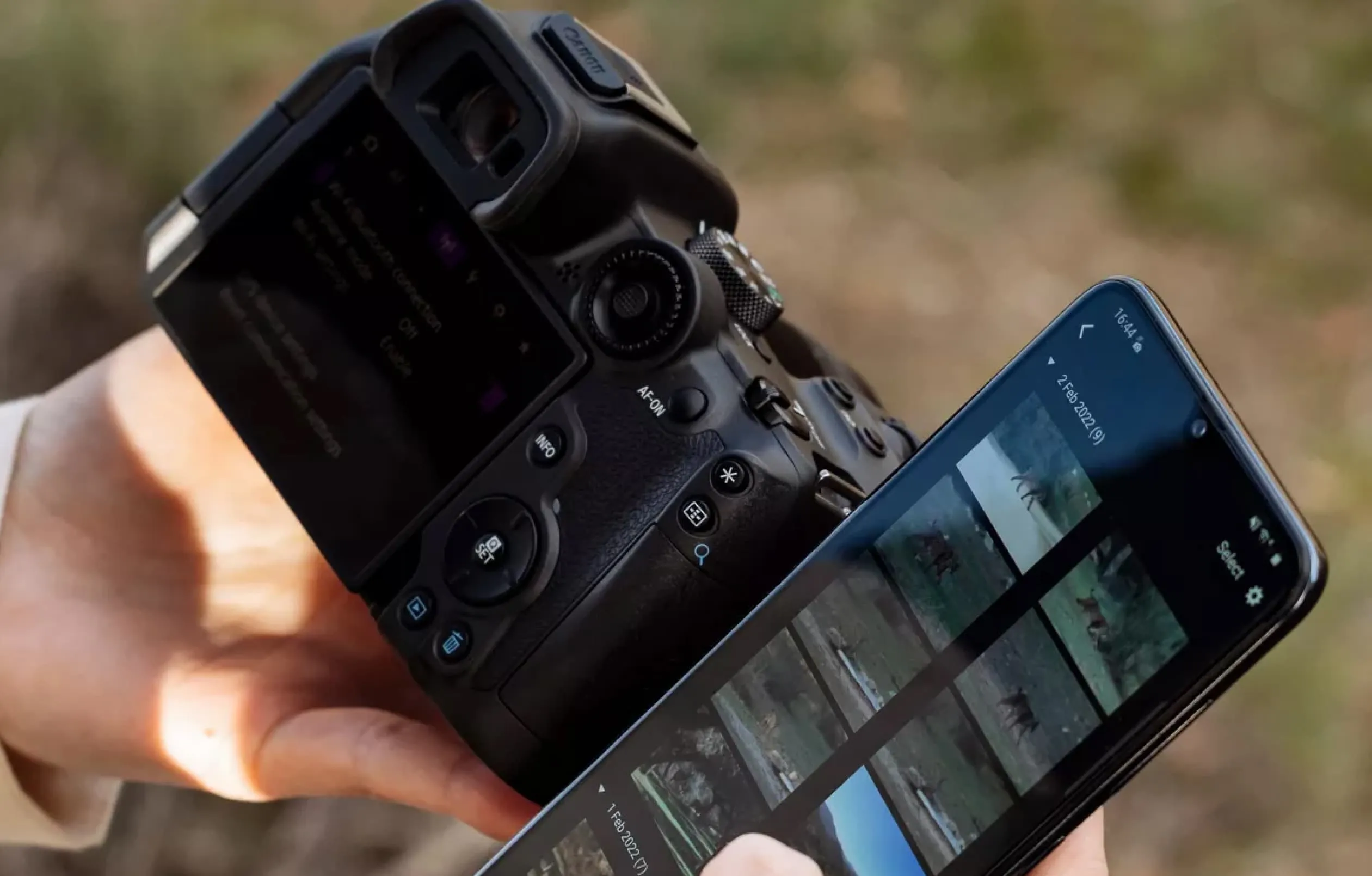 Цифровой фотоаппарат Canon EOS R7 Body (Black) (5137C041) (Standard)