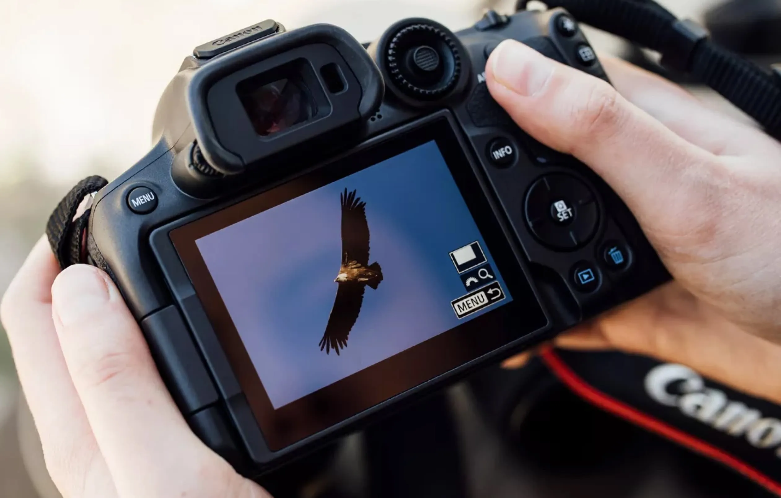 Цифровий фотоапарат Canon EOS R7 kit RF-S 18-150 IS STM (Black) (5137C015) (Standard)