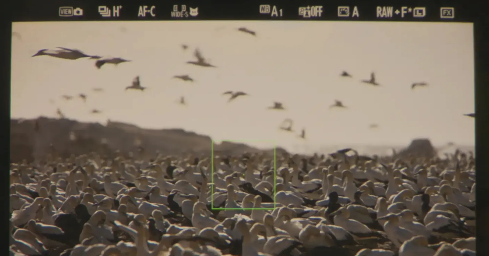 Цифровой фотоаппарат Nikon Z6 III Kit 24-120mm (VOA130K002) (Standard)