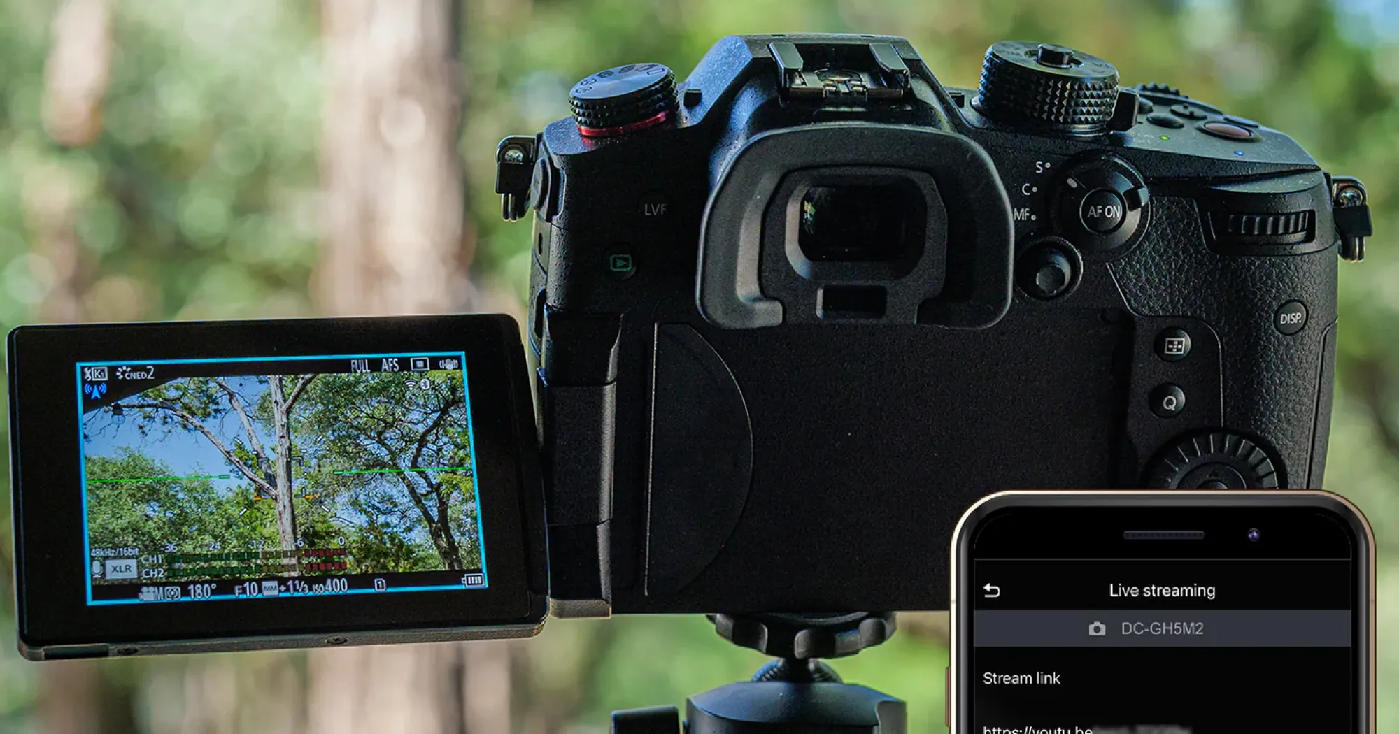 Цифровой фотоаппарат Panasonic DC-GH5 II Body (DC-GH5M2EE) (Standard)