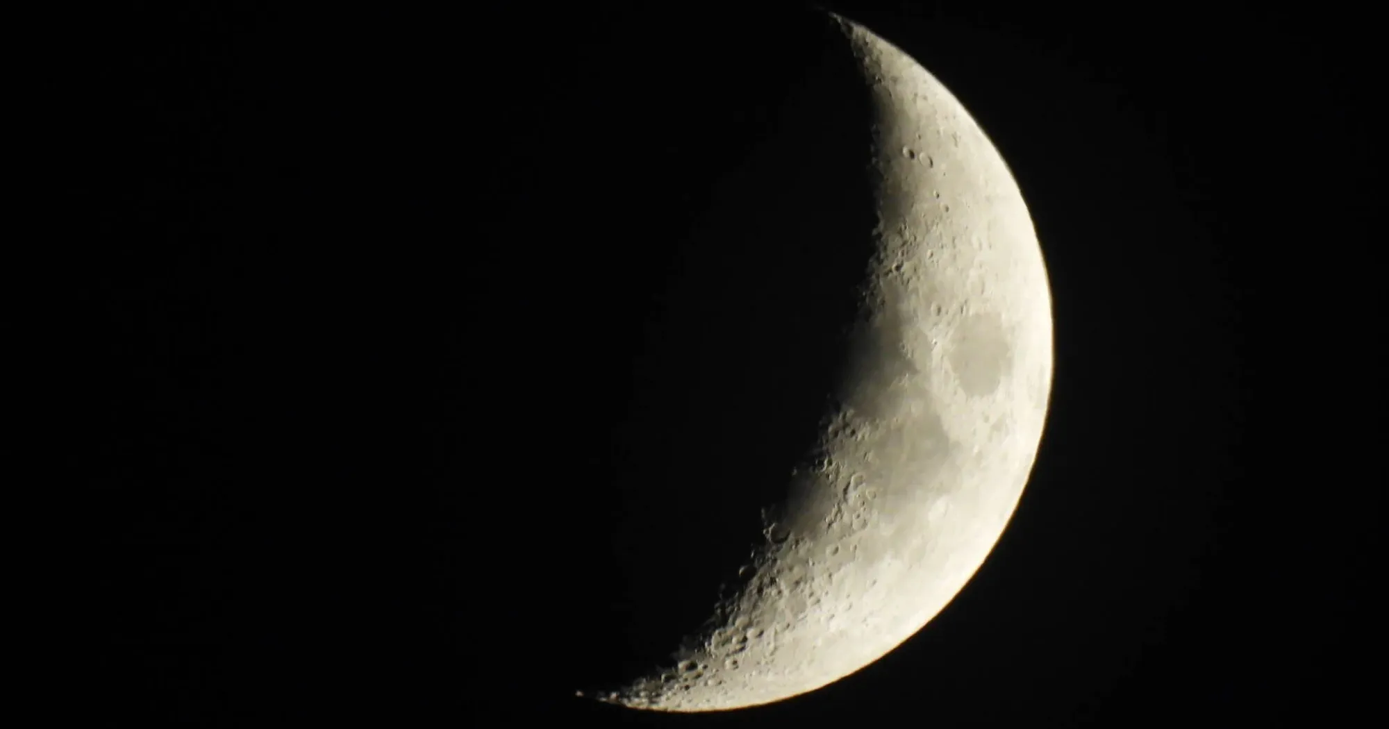 Компактный цифровой фотоаппарат Nikon Coolpix P950 (VQA100EA) (Standard)