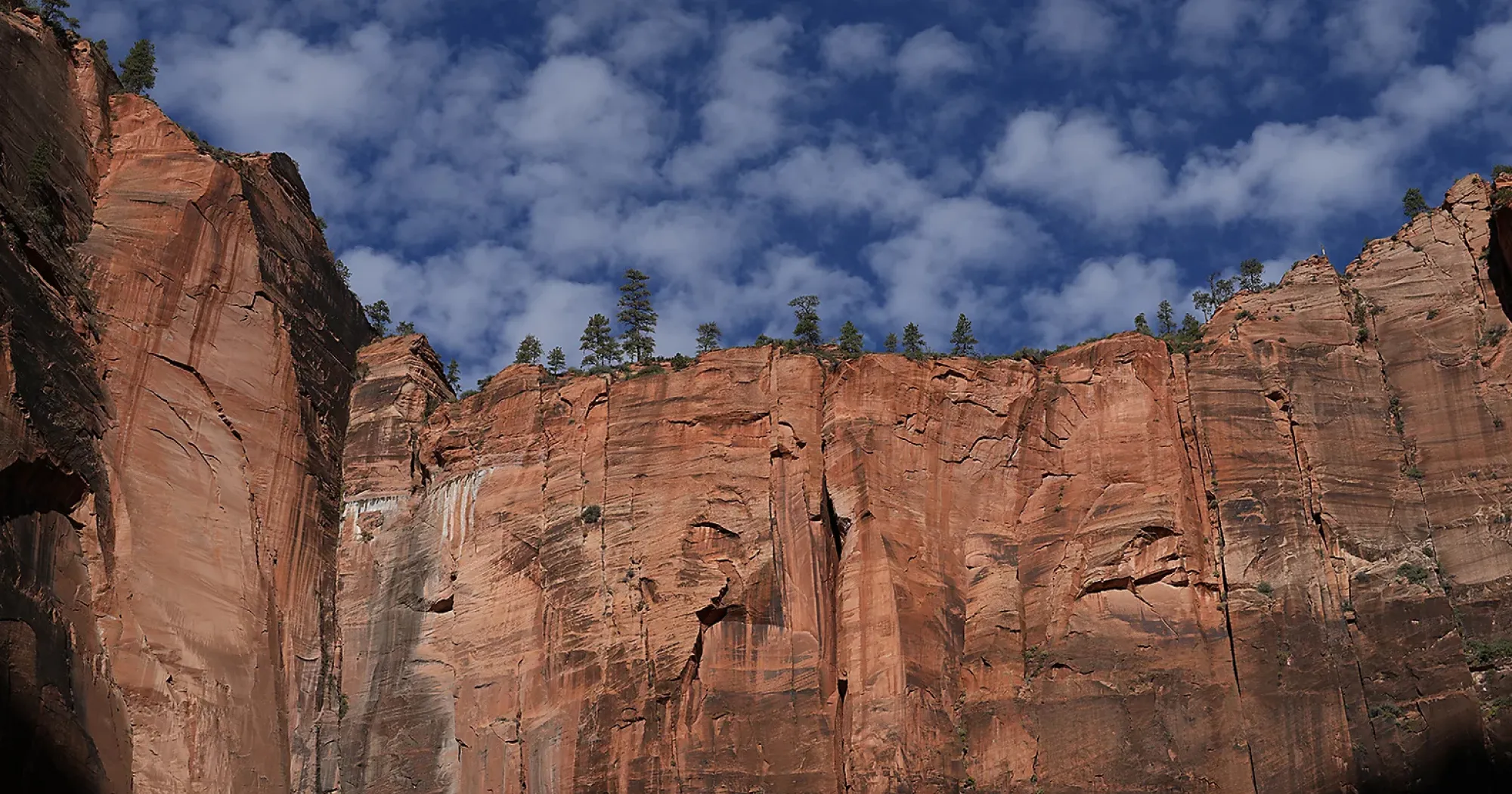 Стандартний об'єктив Sony FE 50mm f/1.4 GM (SEL50F14GM.SYX) (Standard)