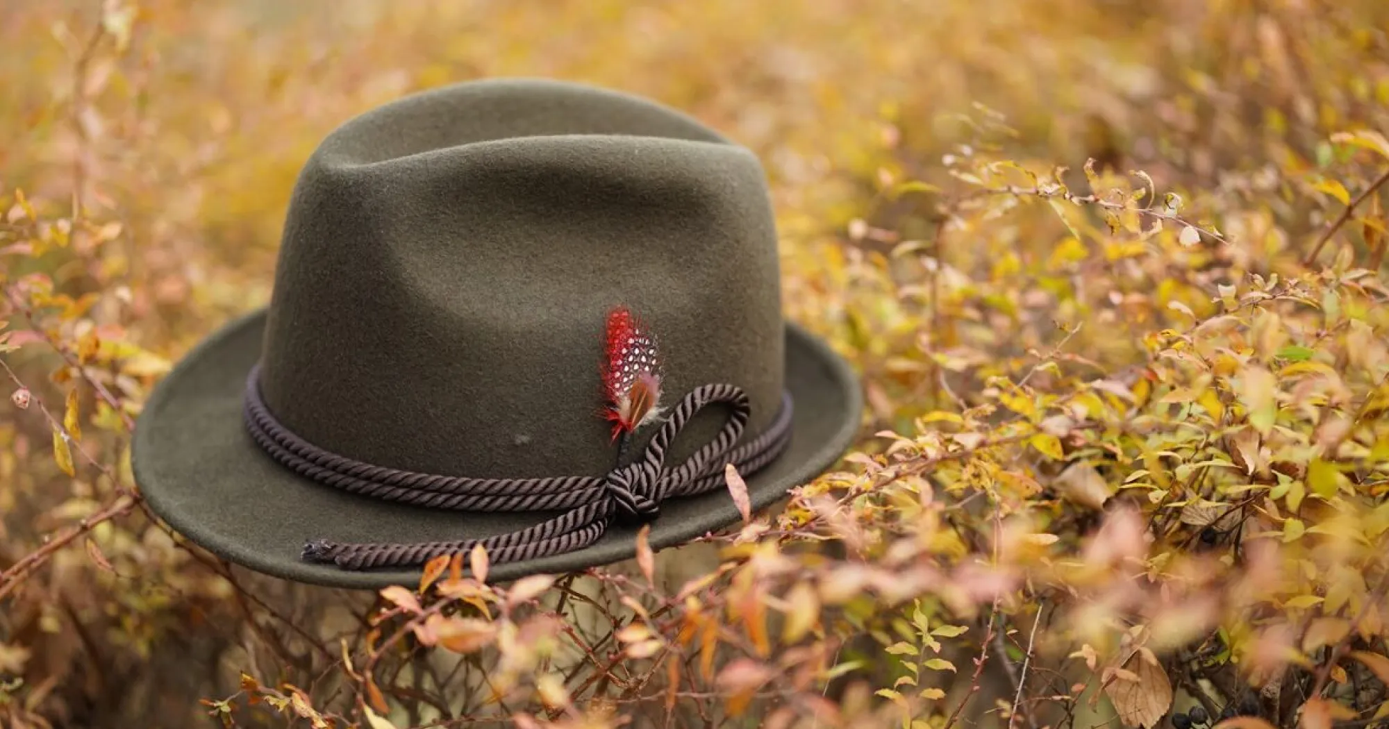 Стандартний об'єктив Sony FE 85mm f/1.8 (SEL85F18.SYX) (Standard)