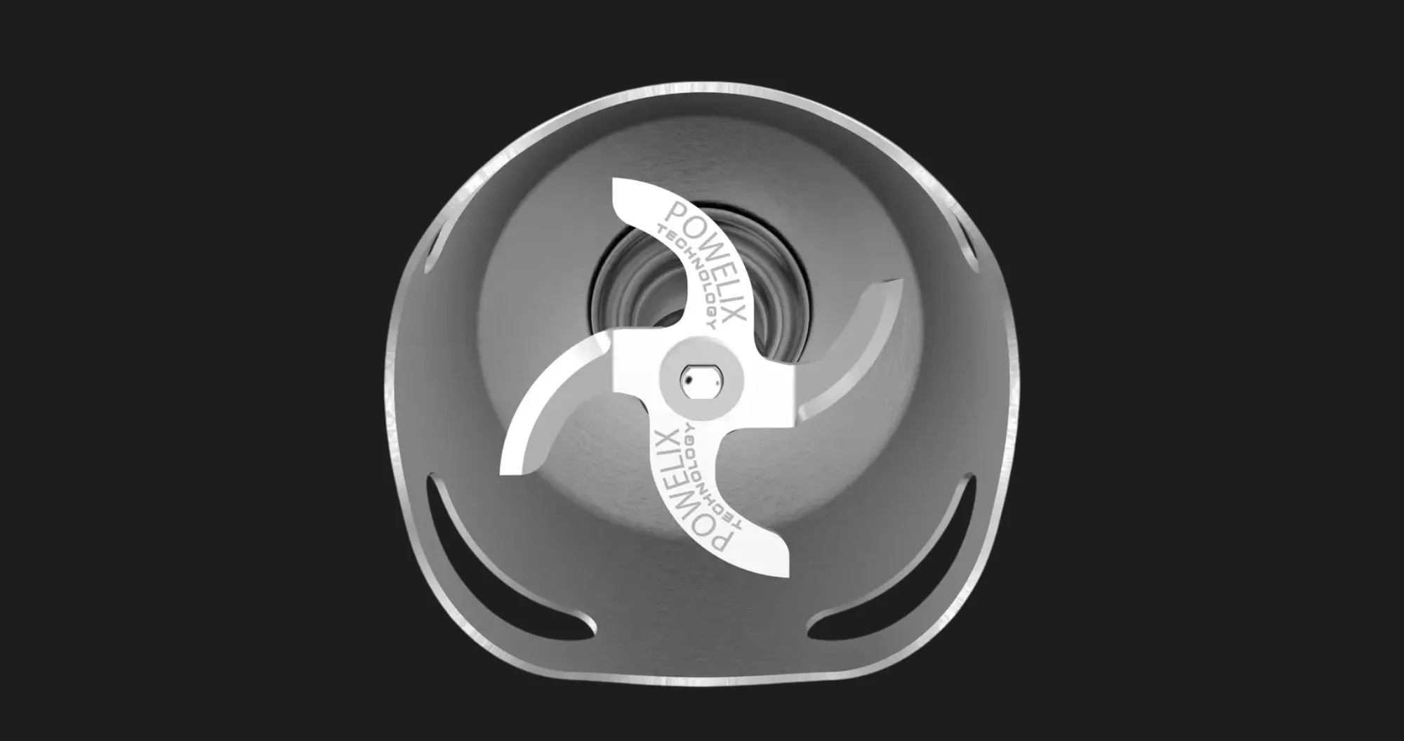 Блендер занурювальний Moulinex (Silver) (UA)